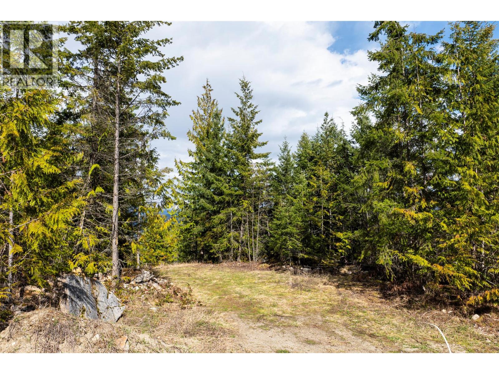 400 Lexington Avenue, Procter, British Columbia  V0G 1V0 - Photo 9 - 10383905