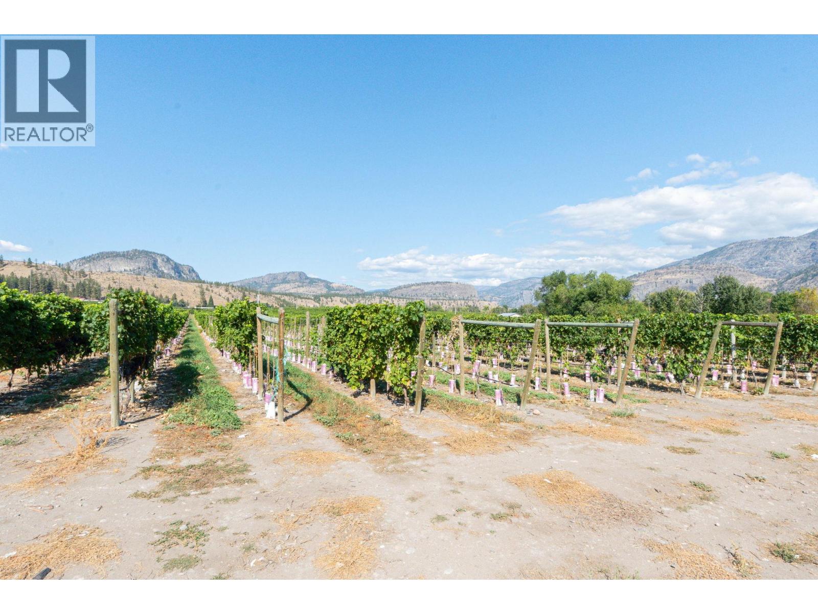 7337 Highway 97, Oliver, British Columbia  V0H 1T5 - Photo 24 - 10383870