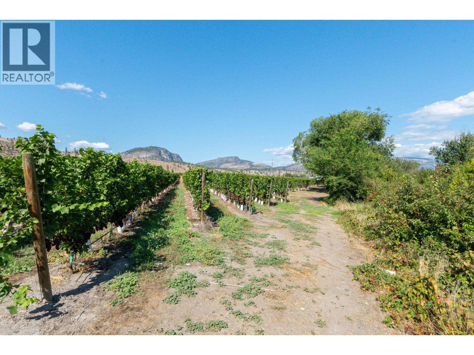 7337 Highway 97, Oliver, British Columbia  V0H 1T5 - Photo 26 - 10383870