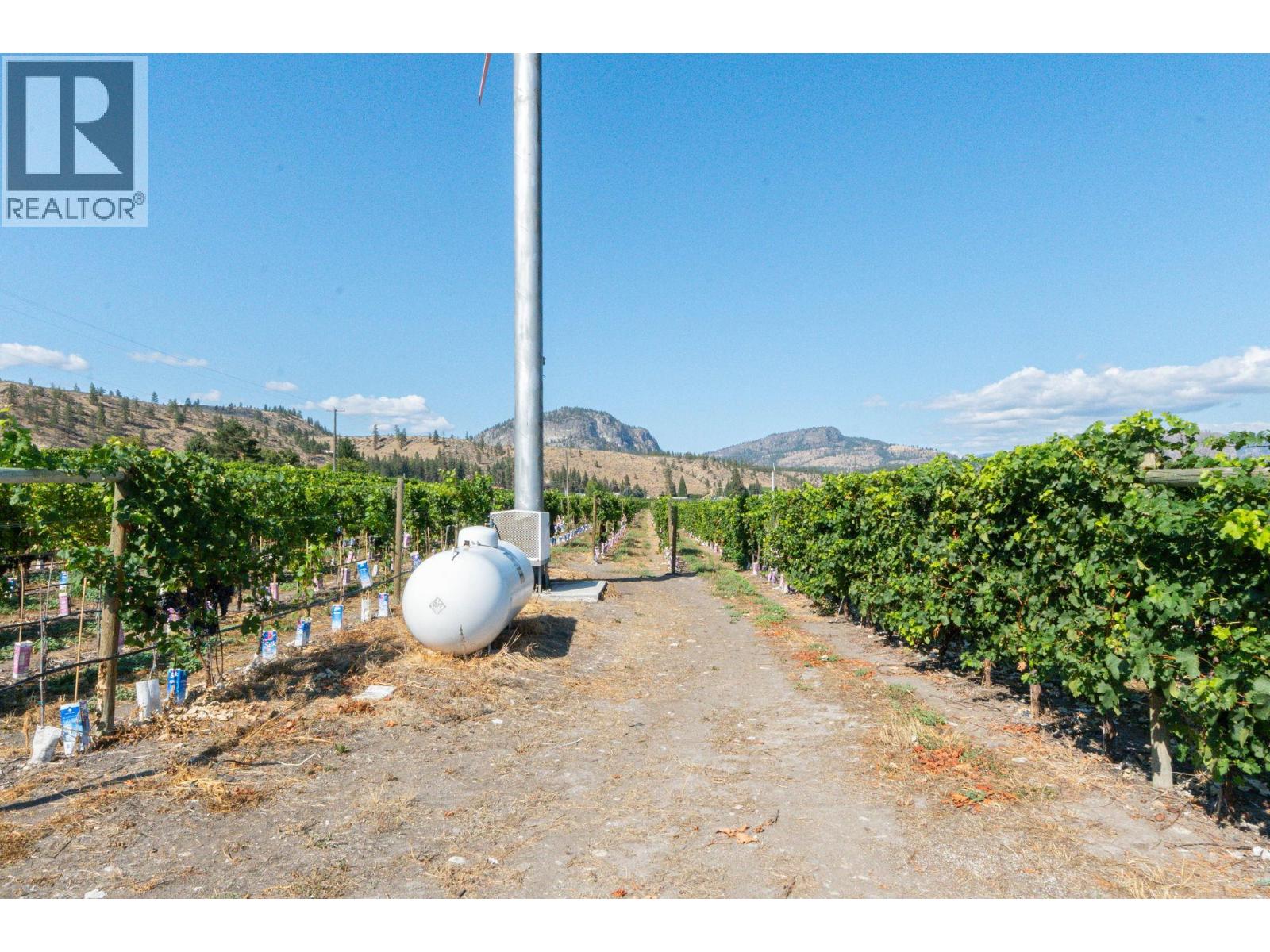 7337 Highway 97, Oliver, British Columbia  V0H 1T5 - Photo 28 - 10383870