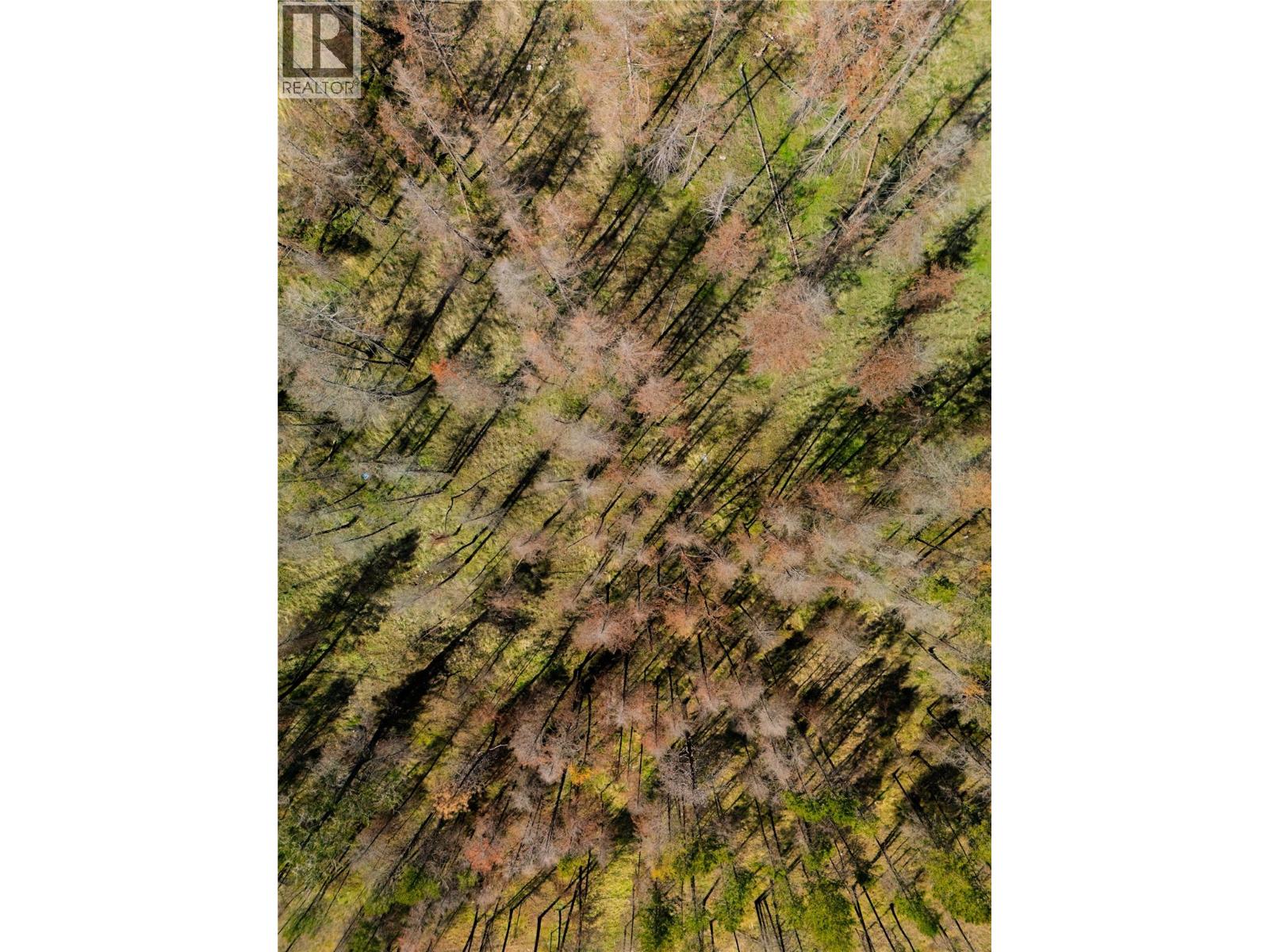 427 Rose Valley Road, West Kelowna, British Columbia  V1Z 3T7 - Photo 9 - 10383907