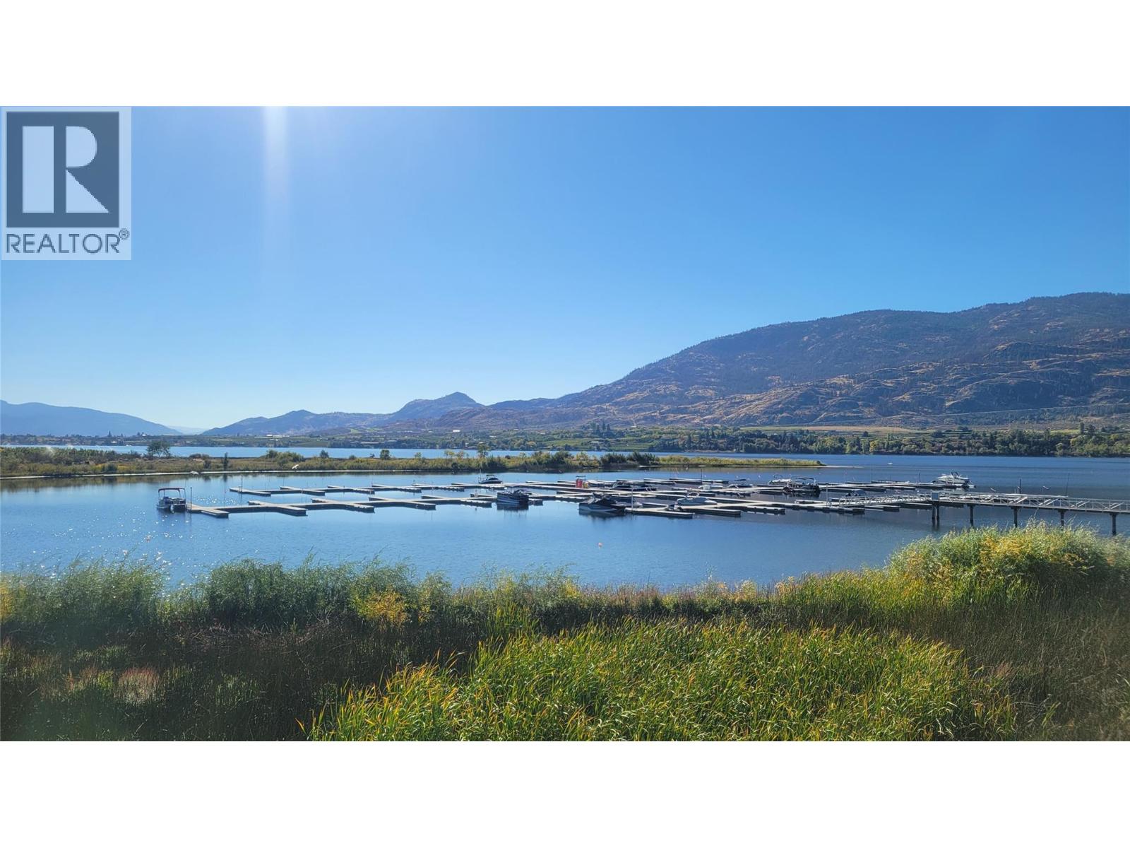 2450 Radio Tower Road Unit# 163, Oliver, British Columbia  V0H 1T1 - Photo 55 - 10383946