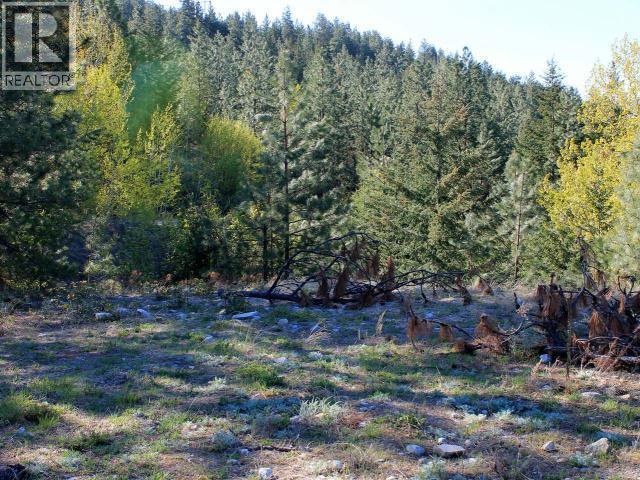 111 Granite Court Lot# 34, Naramata, British Columbia  V0H 1N1 - Photo 5 - 10383259