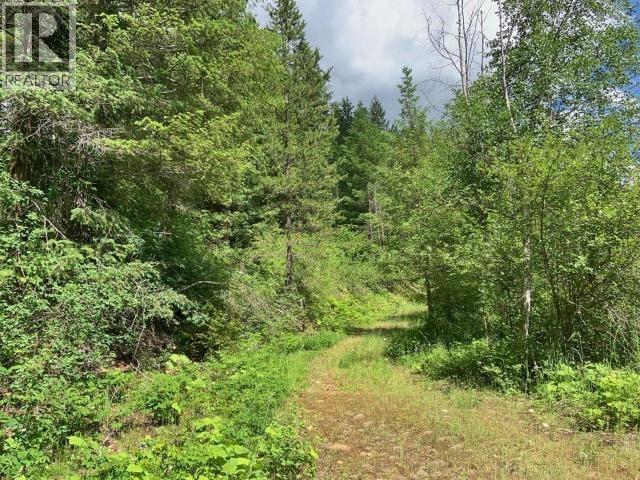 2916 Barriere Lakes Road, Barriere, British Columbia  V0E 1E0 - Photo 43 - 10384024