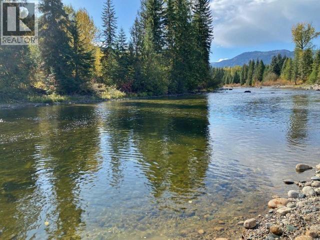 2916 Barriere Lakes Road, Barriere, British Columbia  V0E 1E0 - Photo 44 - 10384024