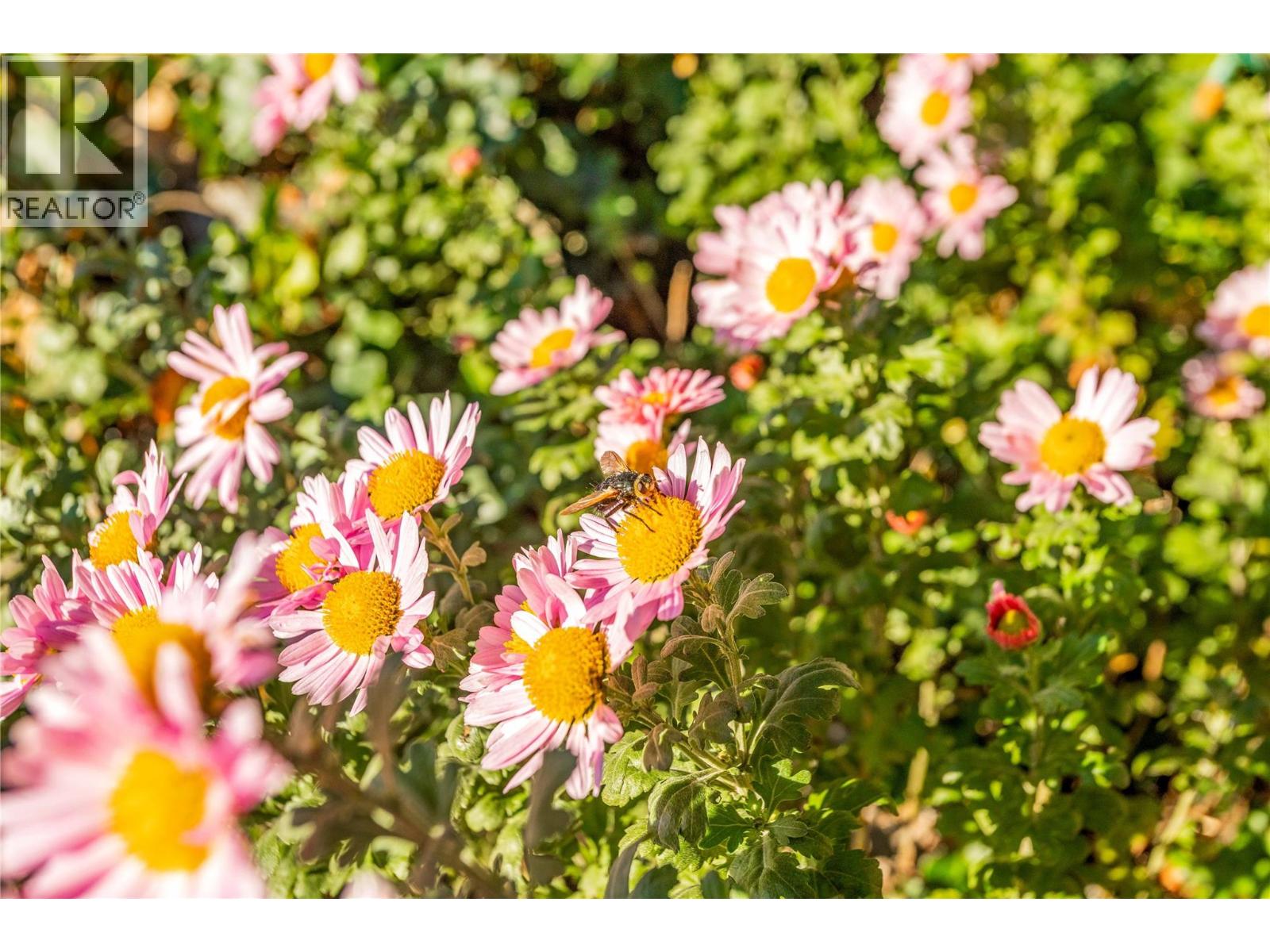 15370 Old Mission Road, Lake Country, British Columbia  V4V 2G5 - Photo 42 - 10382516