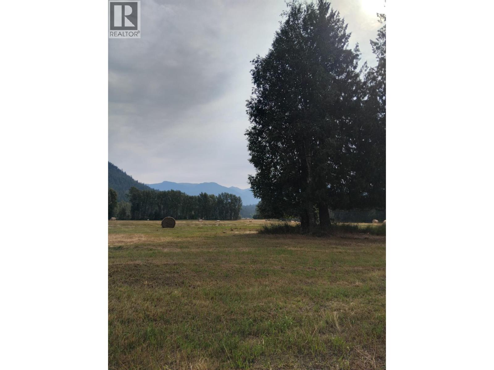 Langille Road, Edgewood, British Columbia  V0G 1J0 - Photo 15 - 10384090