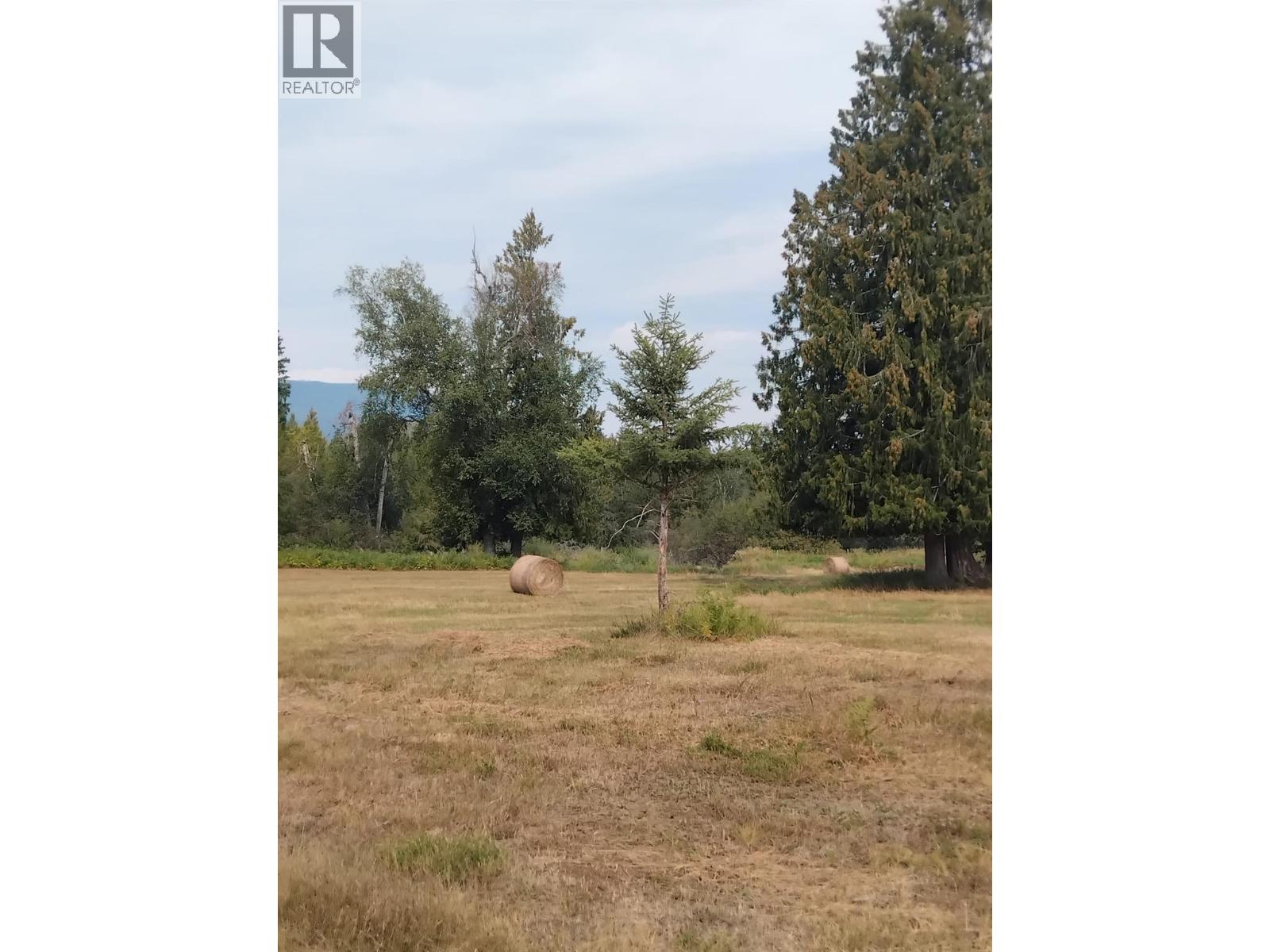 Langille Road, Edgewood, British Columbia  V0G 1J0 - Photo 18 - 10384090