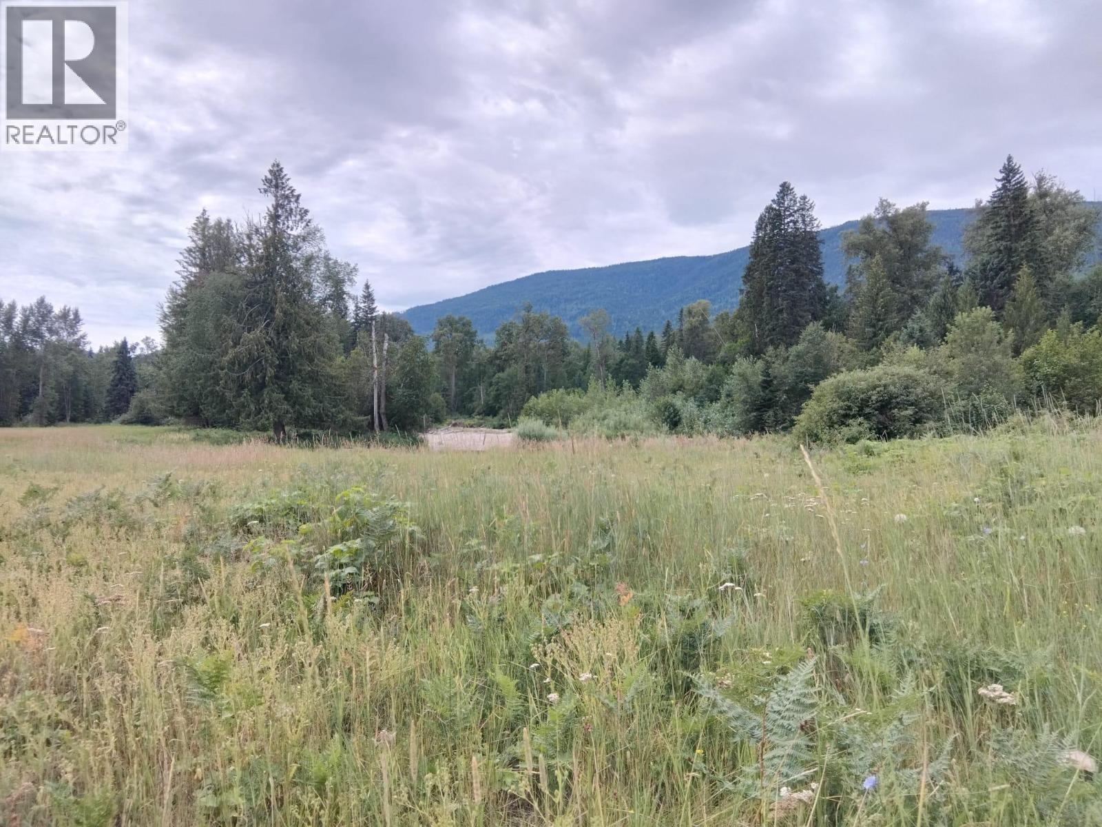 Langille Road, Edgewood, British Columbia  V0G 1J0 - Photo 5 - 10384090