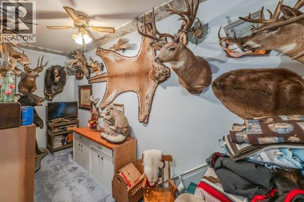 5009 13th Avenue, Okanagan Falls, British Columbia  V0H 1R4 - Photo 43 - 10384117