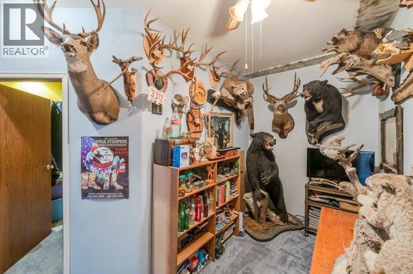 5009 13th Avenue, Okanagan Falls, British Columbia  V0H 1R4 - Photo 44 - 10384117