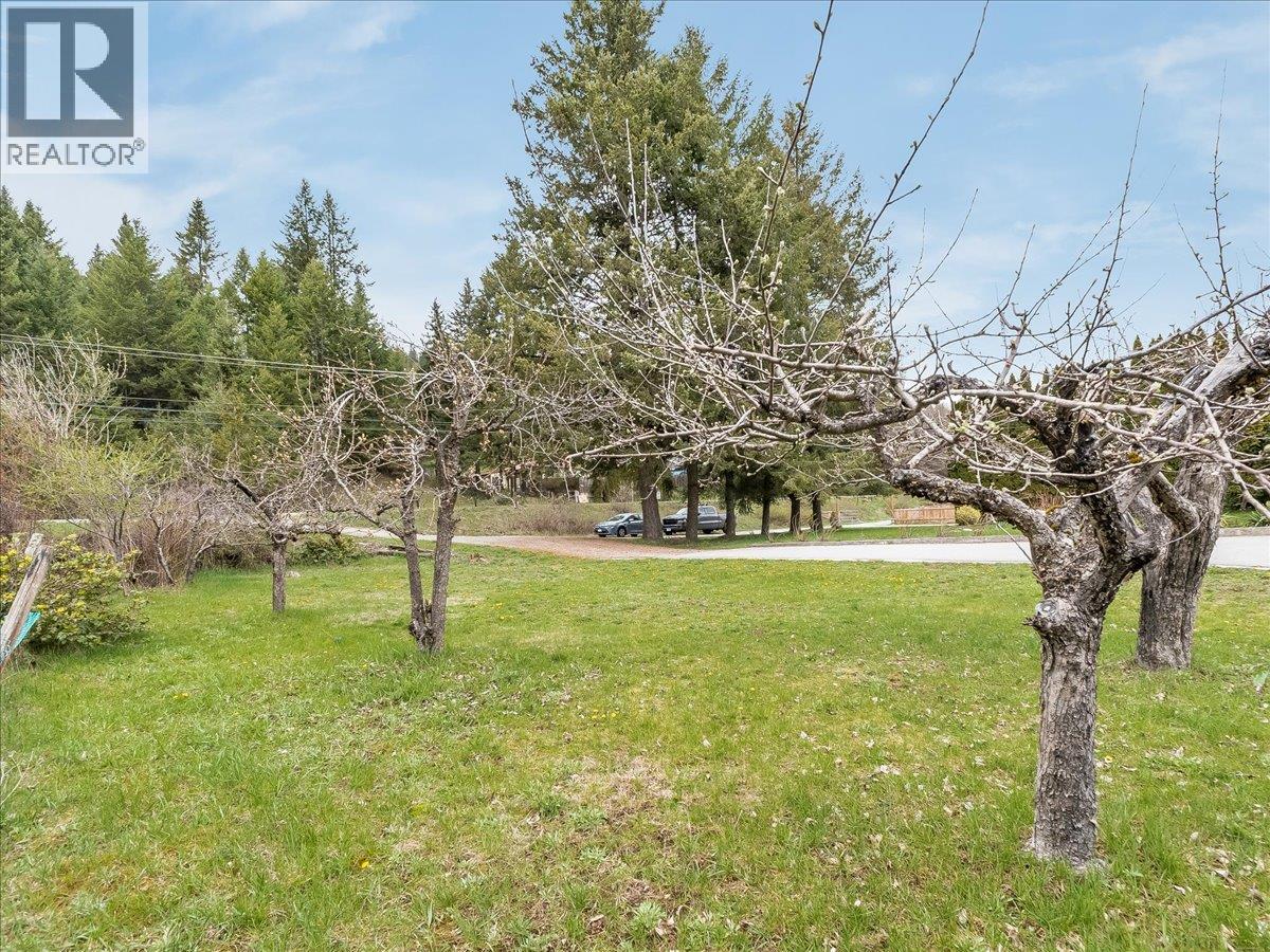 1500 3b Hwy, Fruitvale, British Columbia  V0G 1L1 - Photo 8 - 10384129