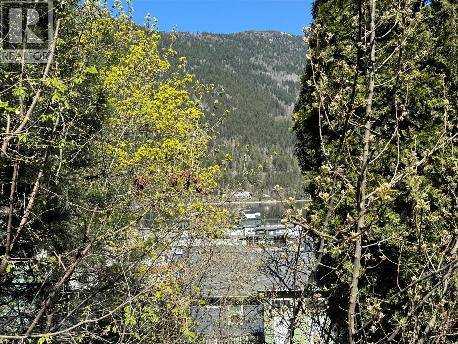 909 Edgewood Avenue, Nelson, British Columbia  V1L 4E1 - Photo 11 - 10383693