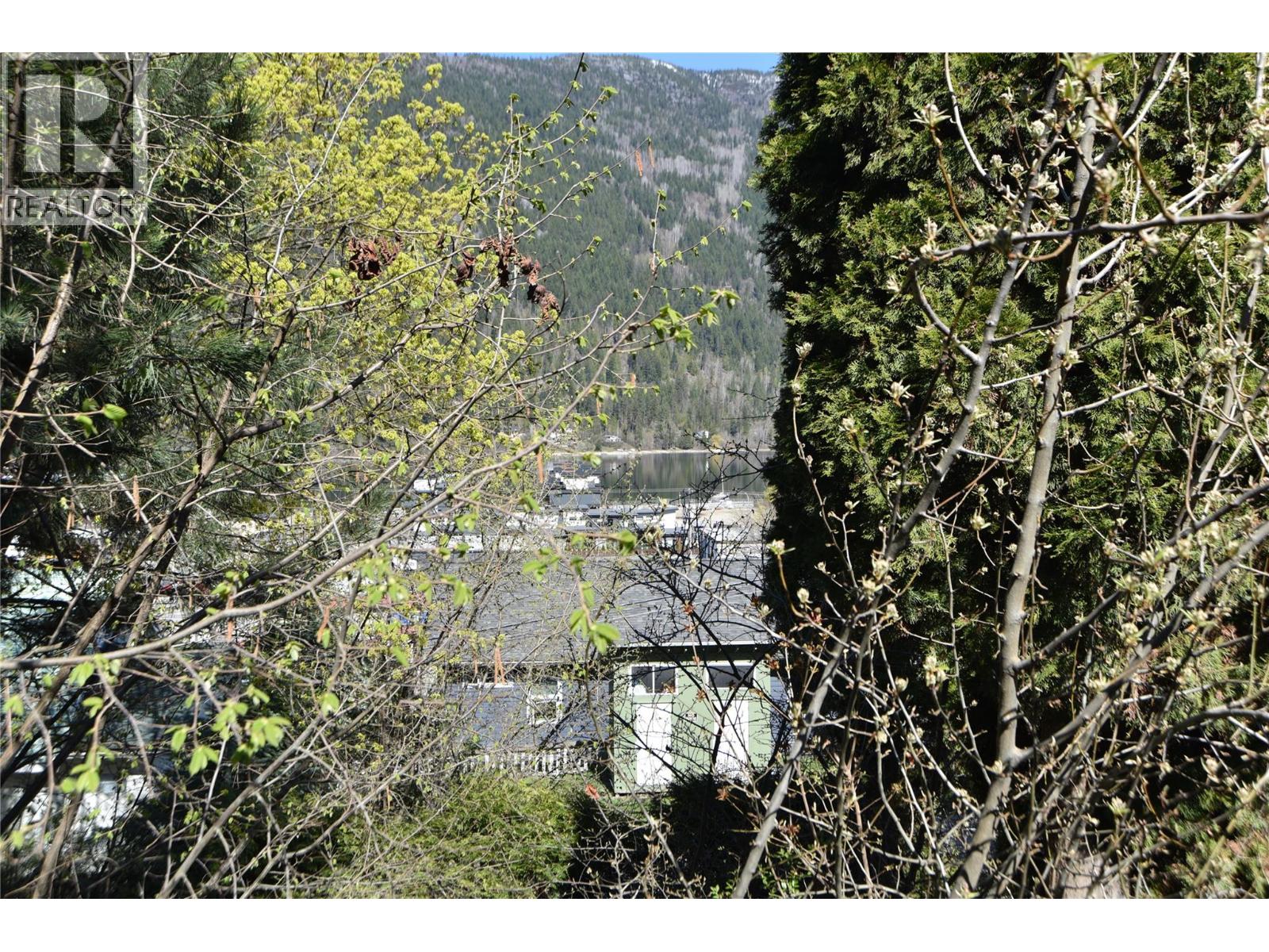 909 Edgewood Avenue, Nelson, British Columbia  V1L 4E1 - Photo 13 - 10383693