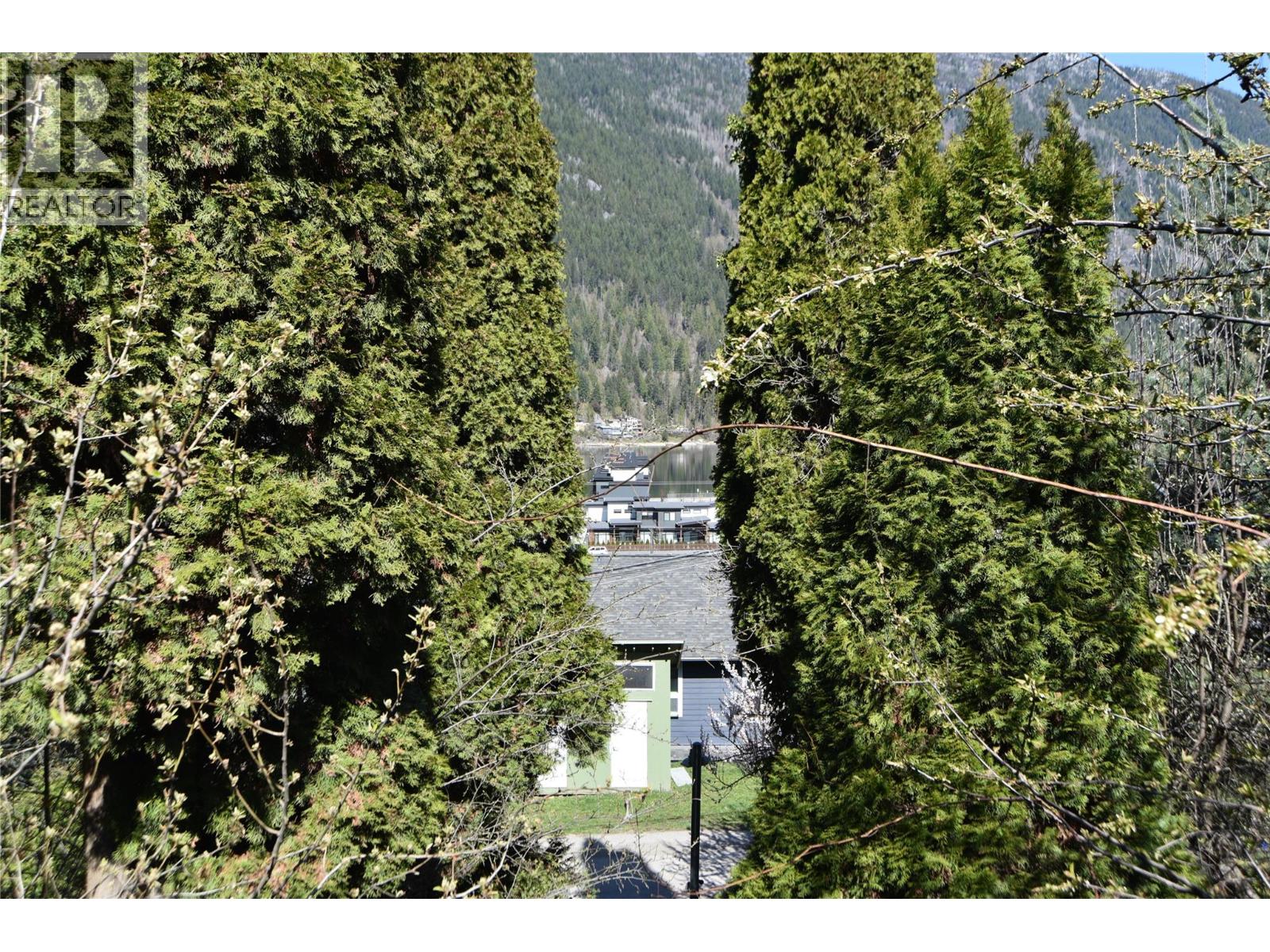 909 Edgewood Avenue, Nelson, British Columbia  V1L 4E1 - Photo 30 - 10383693