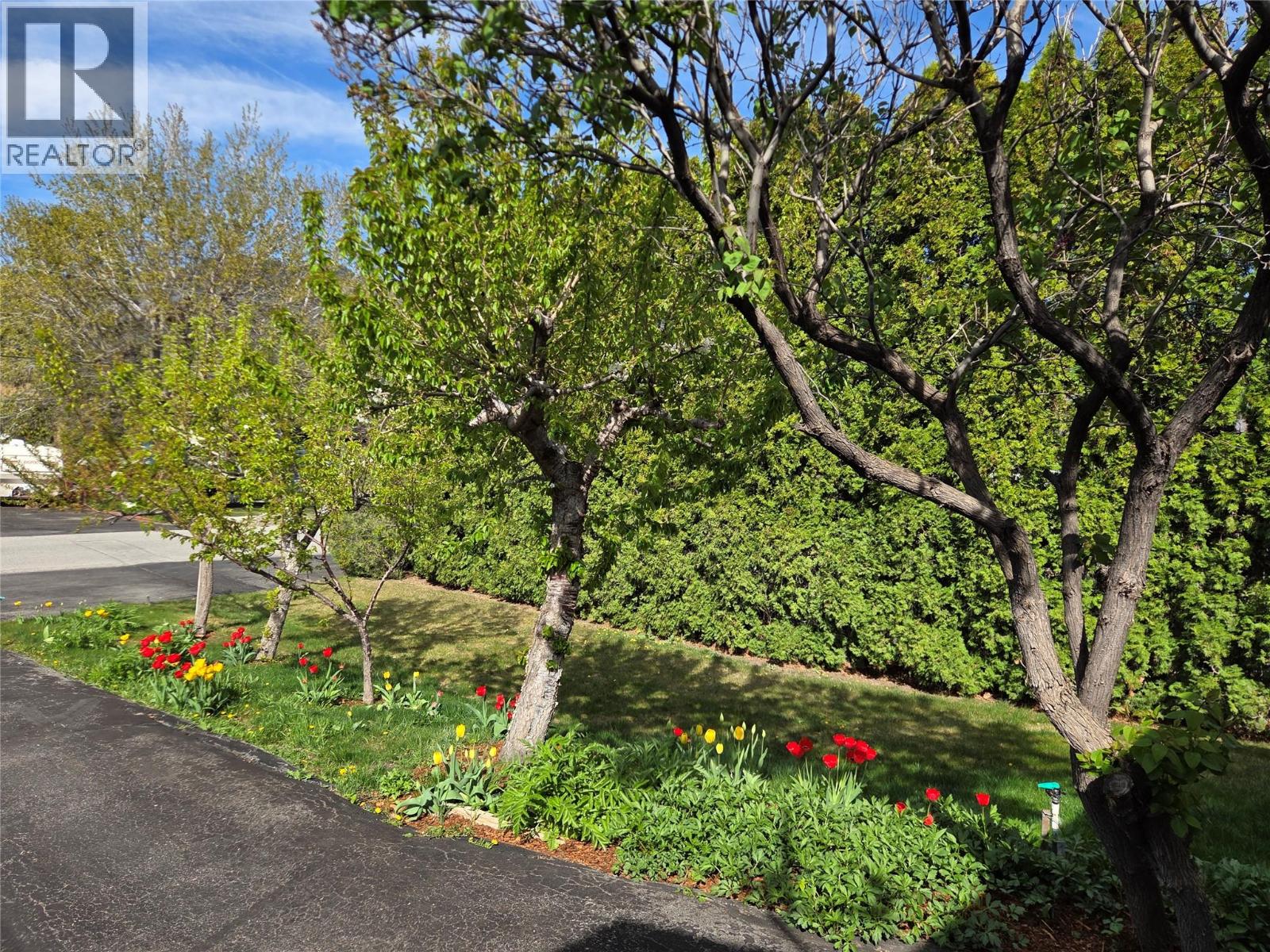 723 3rd Avenue, Keremeos, British Columbia  V0X 1N2 - Photo 2 - 10384153