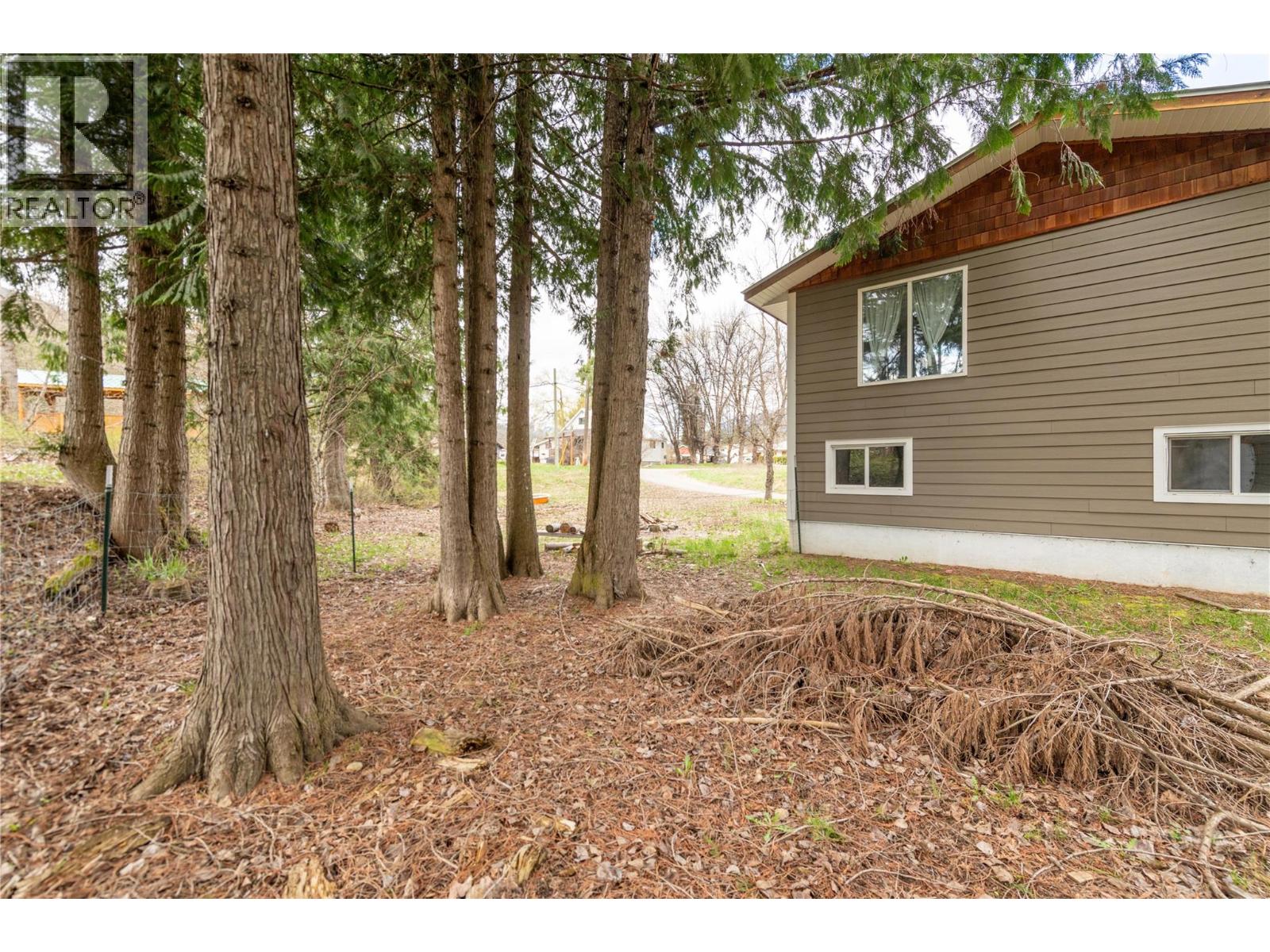 411 Sixth Street, Salmo, British Columbia  V0G 1Z0 - Photo 6 - 10382864