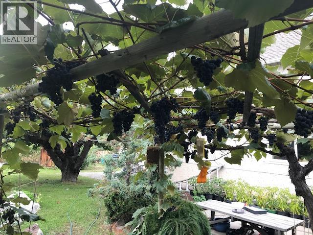 12009 Giants Head Road, Summerland, British Columbia  V0H 1Z7 - Photo 64 - 10383523