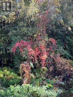 2524 Parkdale Place, Blind Bay, British Columbia  V0E 1H1 - Photo 44 - 10383143