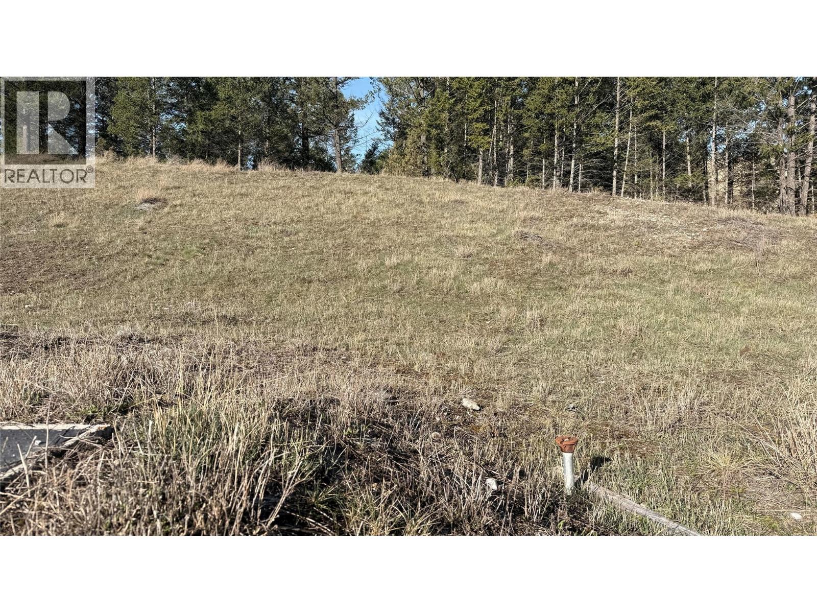 Lot 1 Cooper Road Lot# 1, Windermere, British Columbia  V0B 1L0 - Photo 10 - 10384101