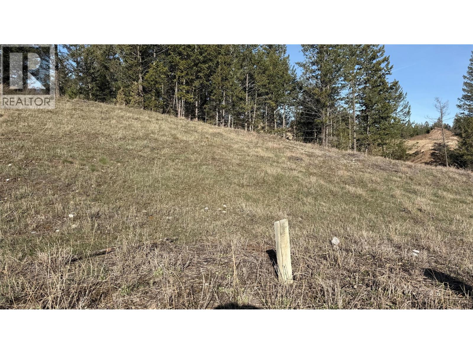 Lot 1 Cooper Road Lot# 1, Windermere, British Columbia  V0B 1L0 - Photo 11 - 10384101