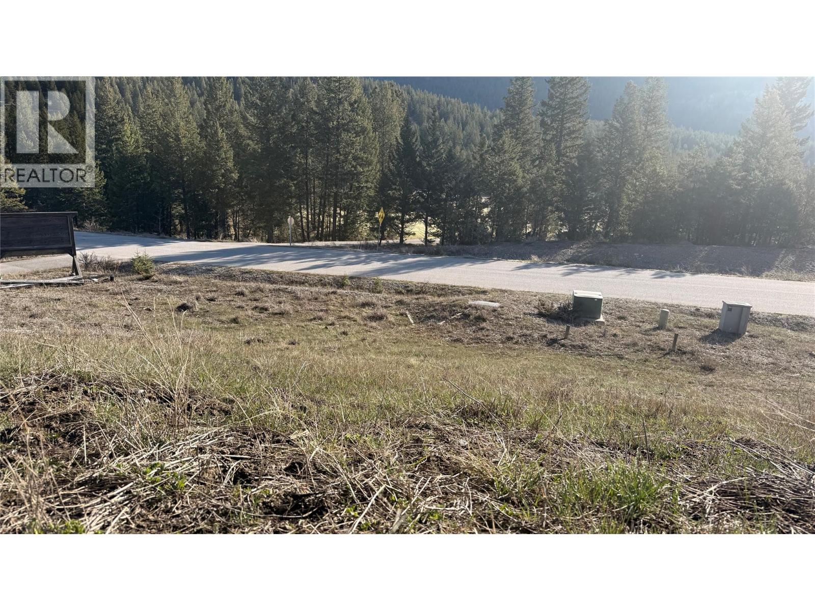 Lot 1 Cooper Road Lot# 1, Windermere, British Columbia  V0B 1L0 - Photo 15 - 10384101