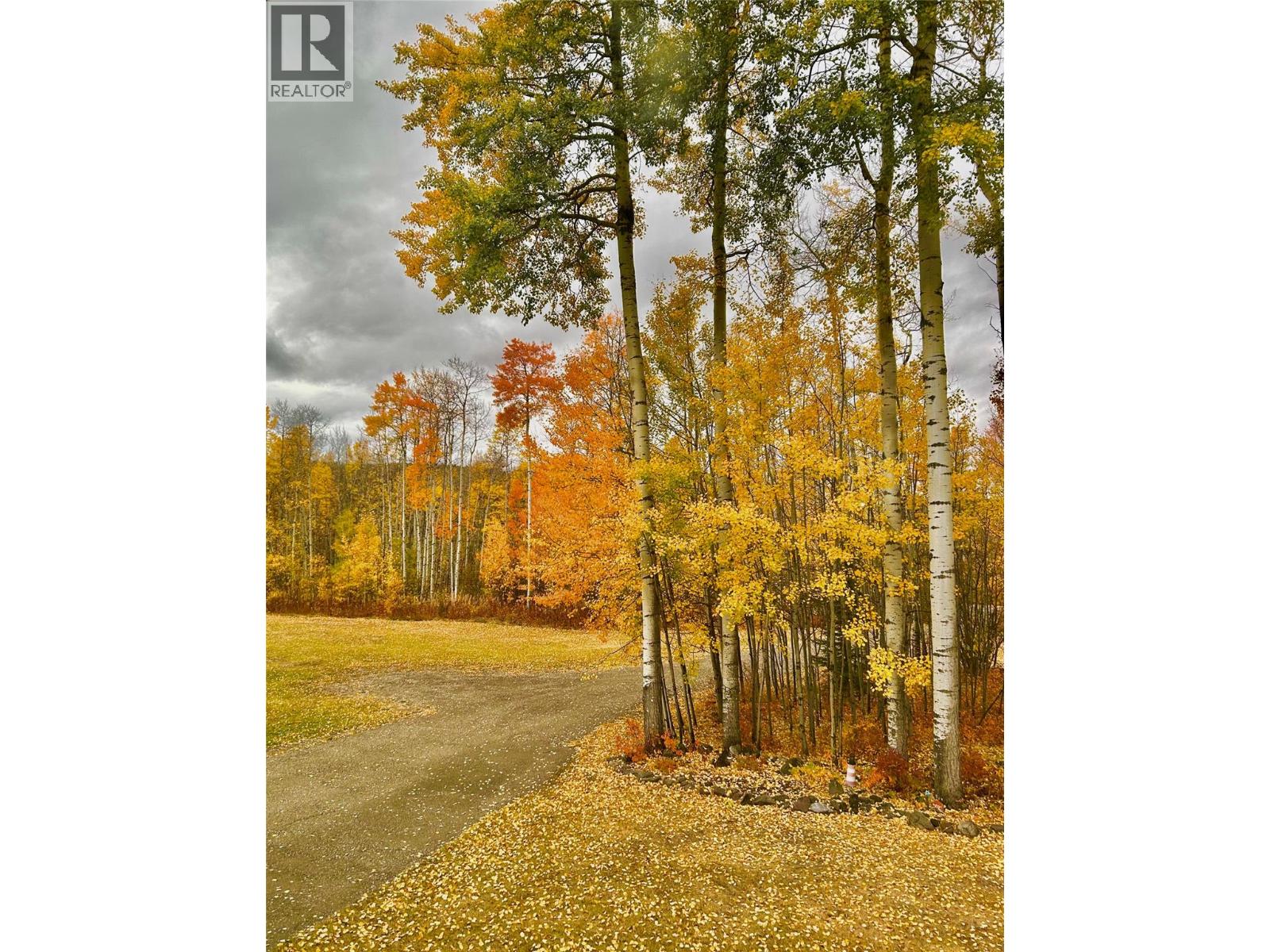 5684 Wabi Estates, Chetwynd, British Columbia  V0C 1J0 - Photo 91 - 10384140