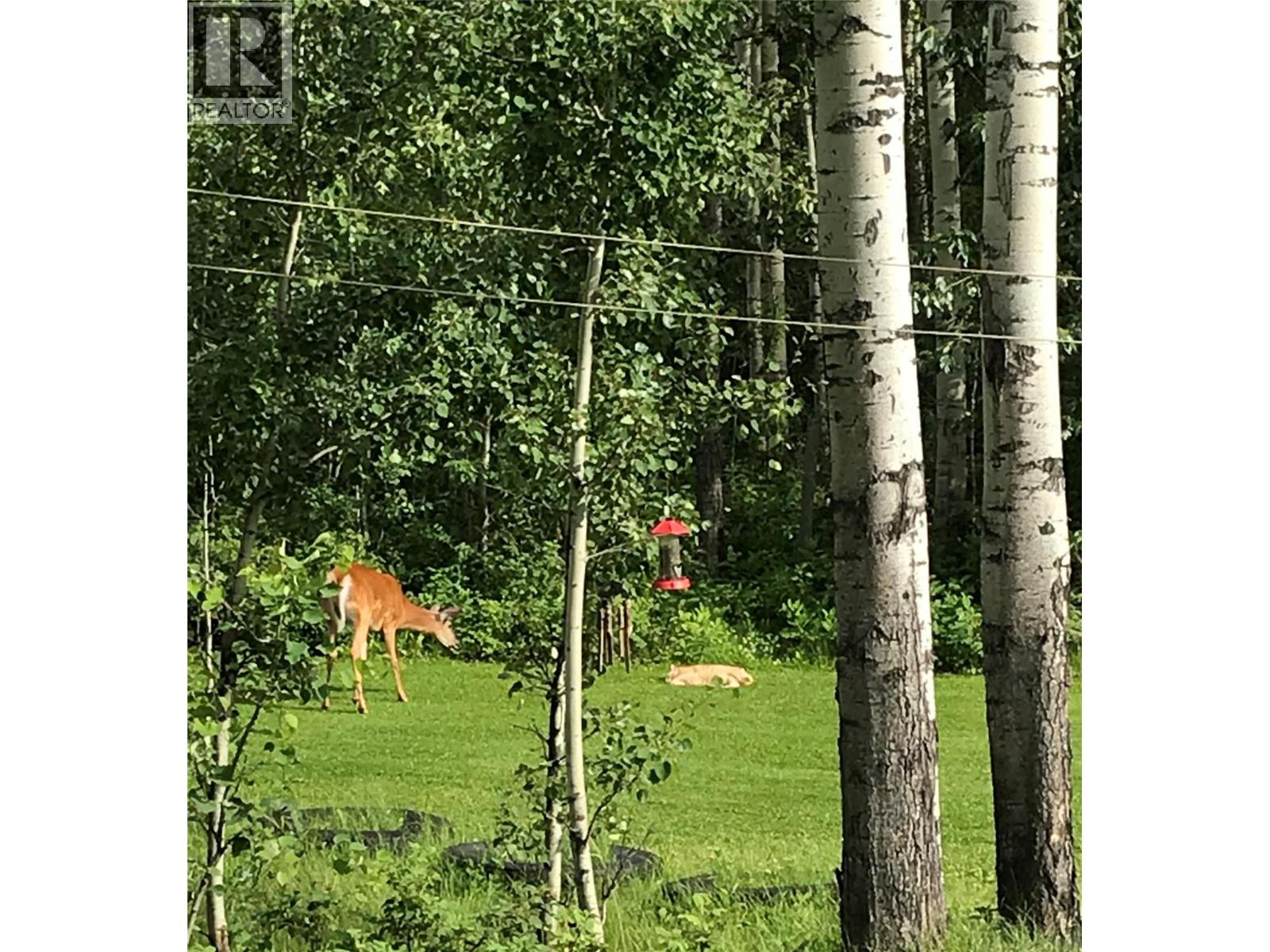 5684 Wabi Estates, Chetwynd, British Columbia  V0C 1J0 - Photo 92 - 10384140