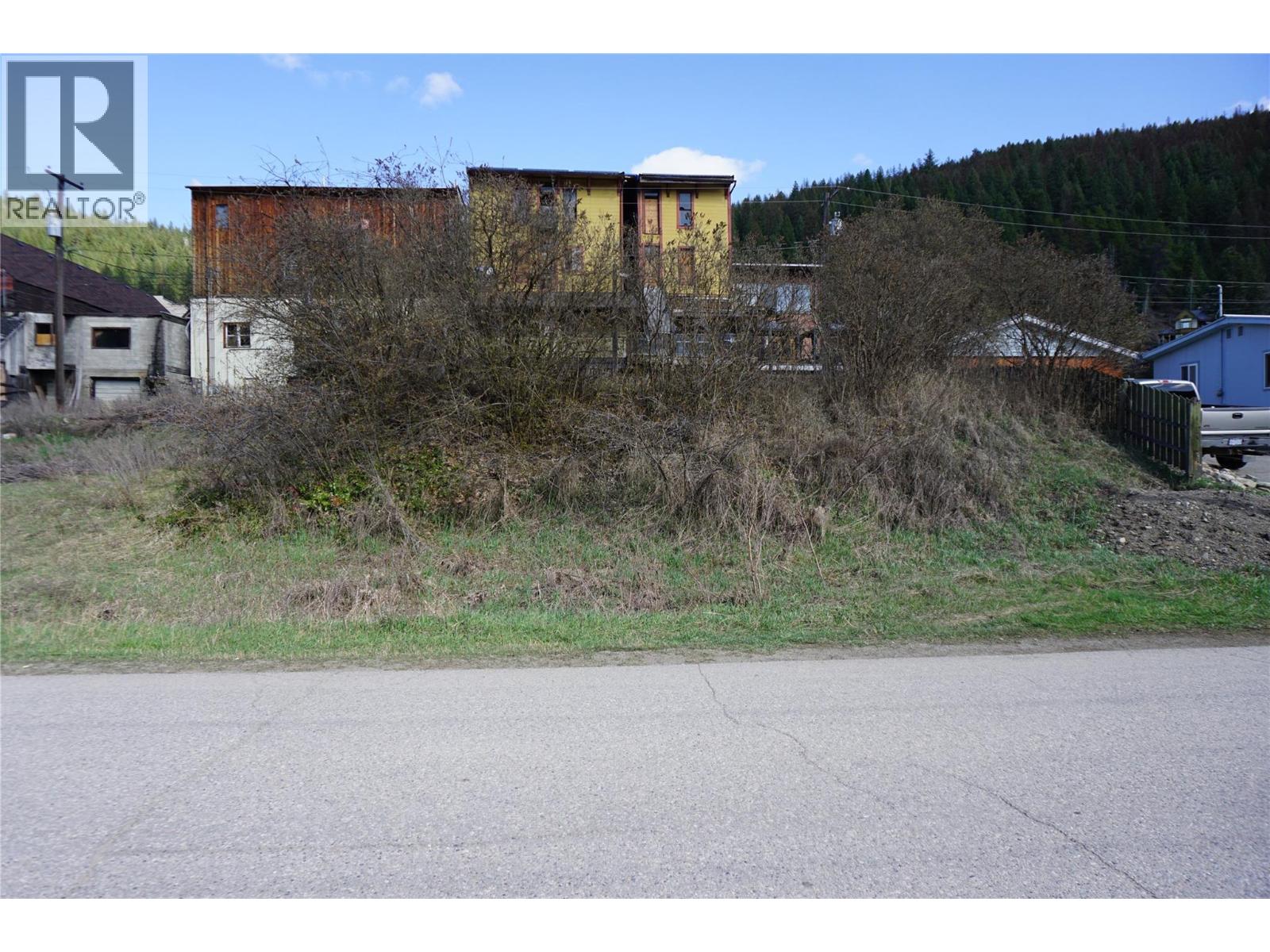 Lot 3 Silver Avenue S, Greenwood, British Columbia  V0H 1J0 - Photo 1 - 10384056