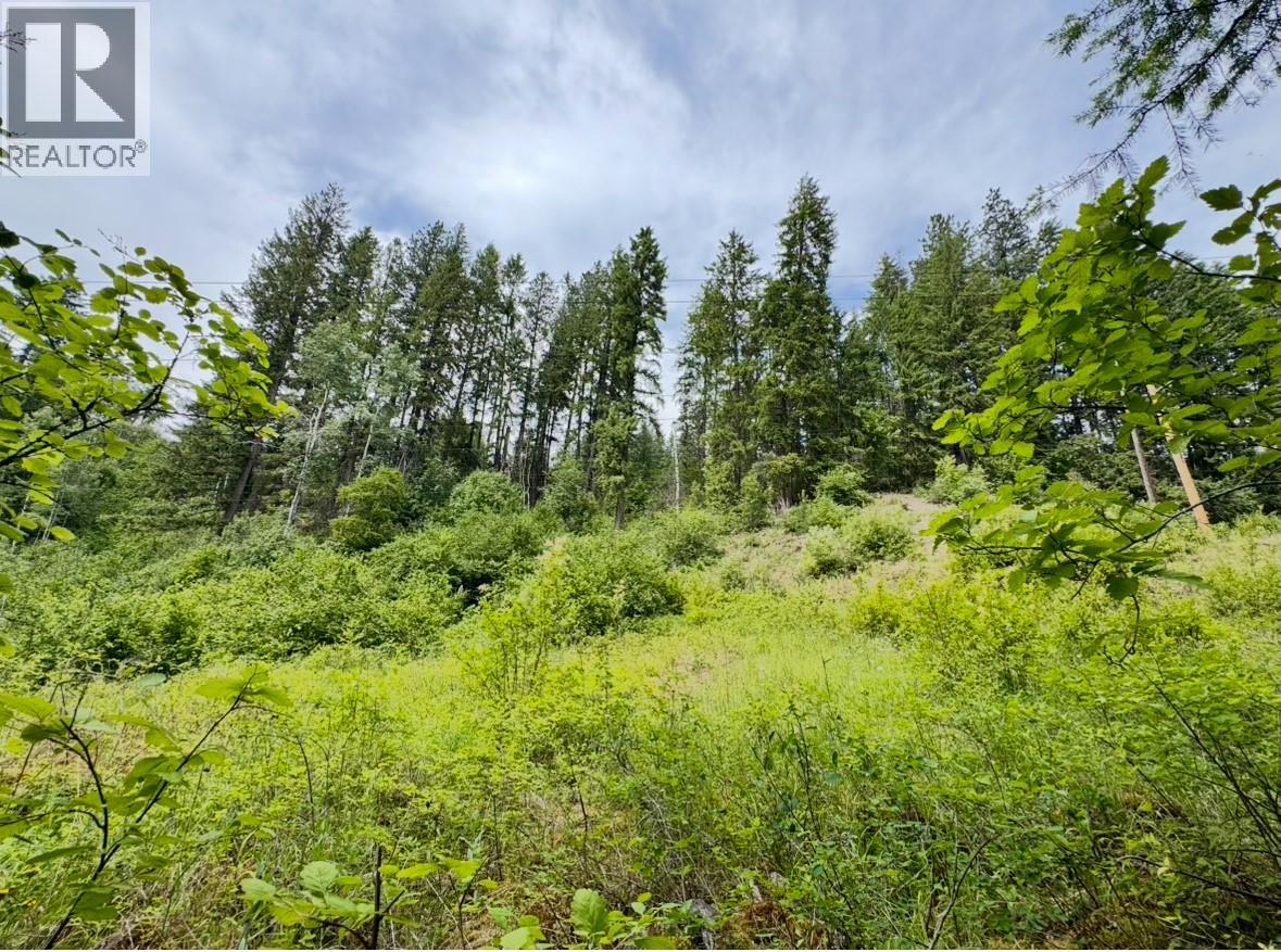 Corra Linn Road Lot# 41 & 41a, Bonnington, British Columbia  V0G 2G3 - Photo 11 - 10384149