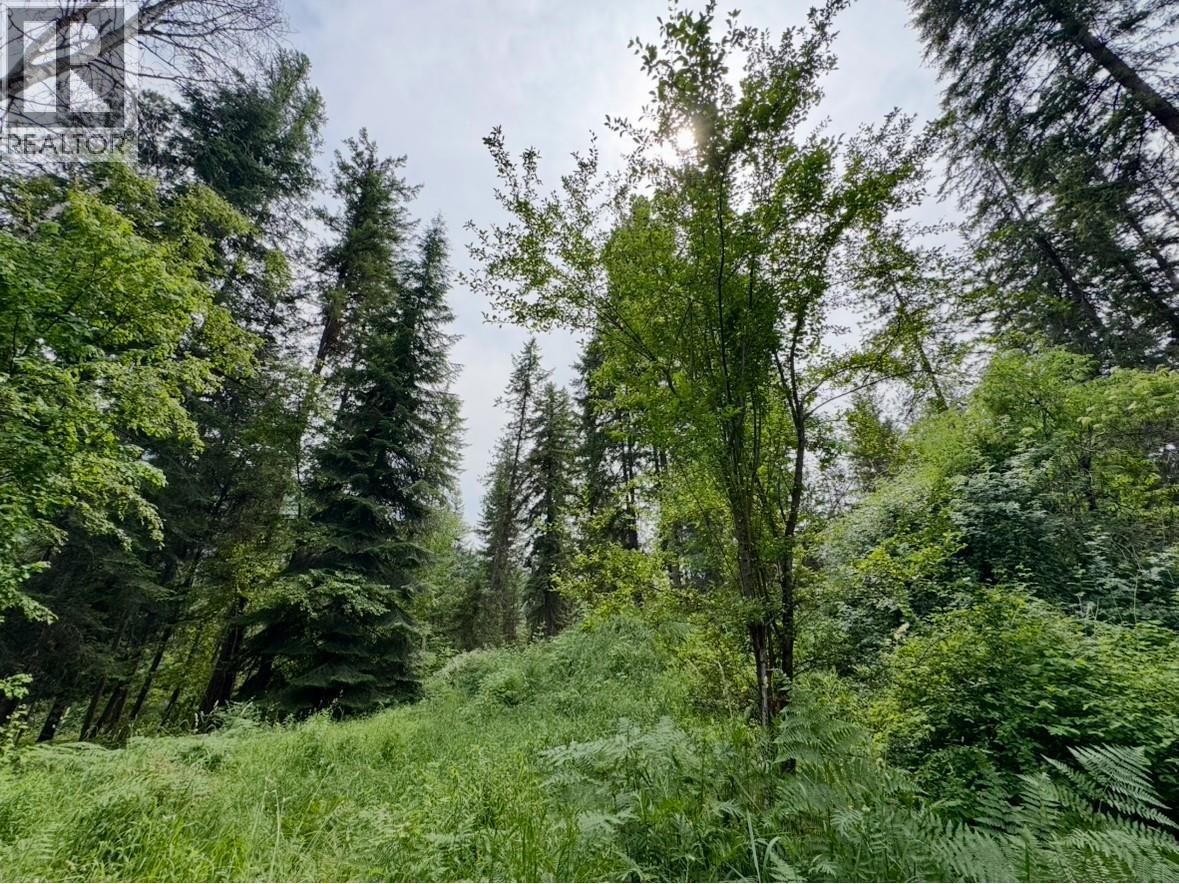 Corra Linn Road Lot# 41 & 41a, Bonnington, British Columbia  V0G 2G3 - Photo 15 - 10384149