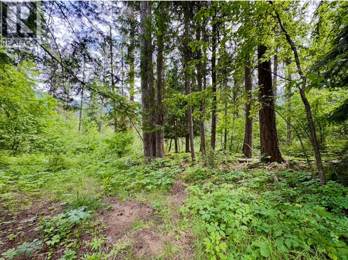 Corra Linn Road Lot# 41 & 41a, Bonnington, British Columbia  V0G 2G3 - Photo 17 - 10384149