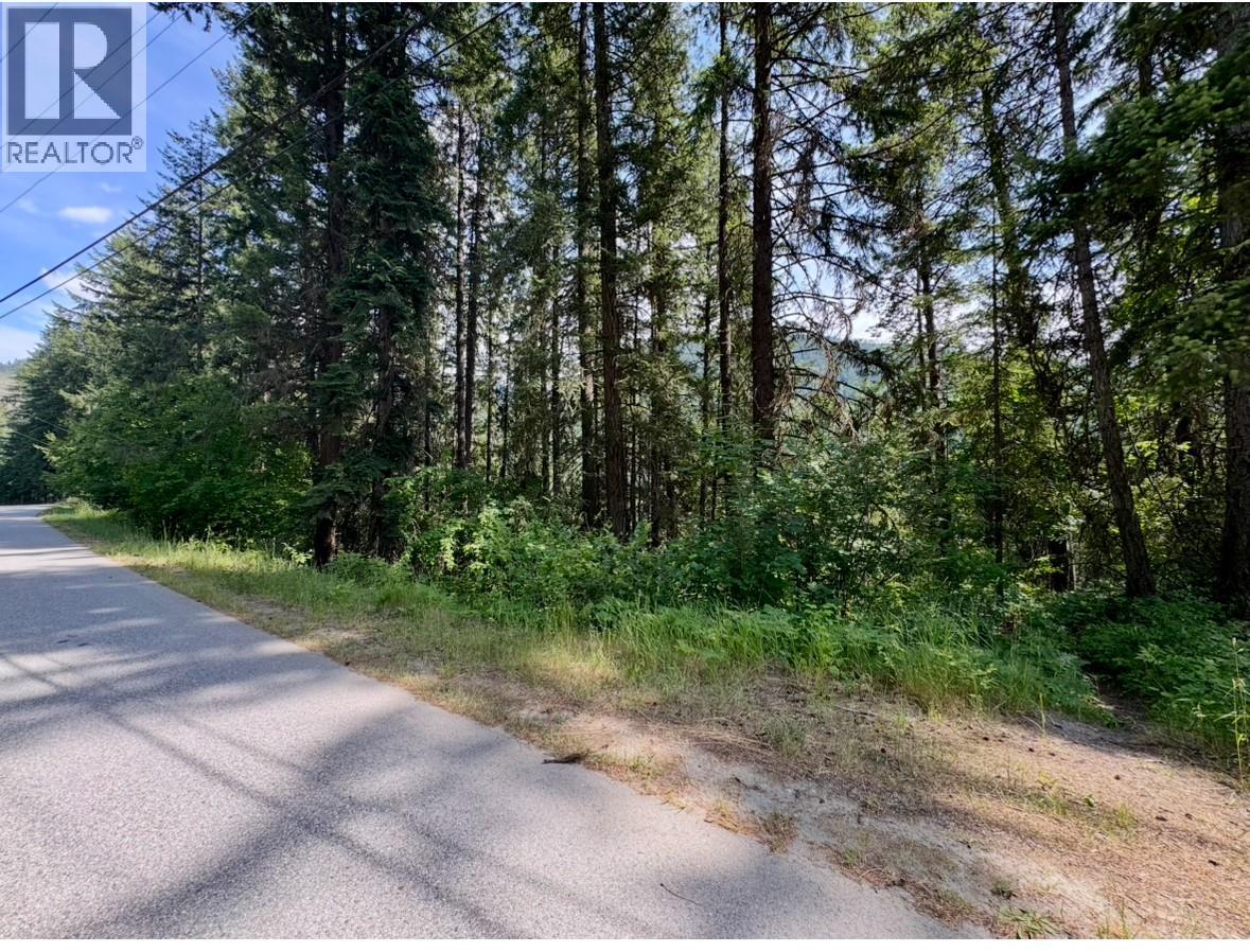 Corra Linn Road Lot# 41 & 41a, Bonnington, British Columbia  V0G 2G3 - Photo 23 - 10384149