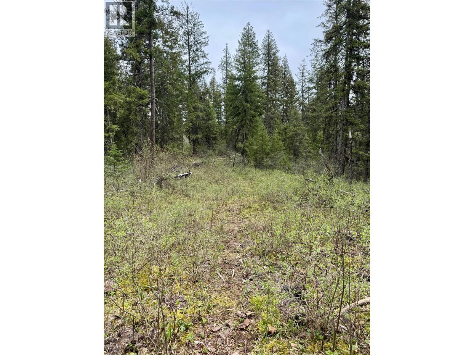 Corra Linn Road Lot# 41 & 41a, Bonnington, British Columbia  V0G 2G3 - Photo 32 - 10384149