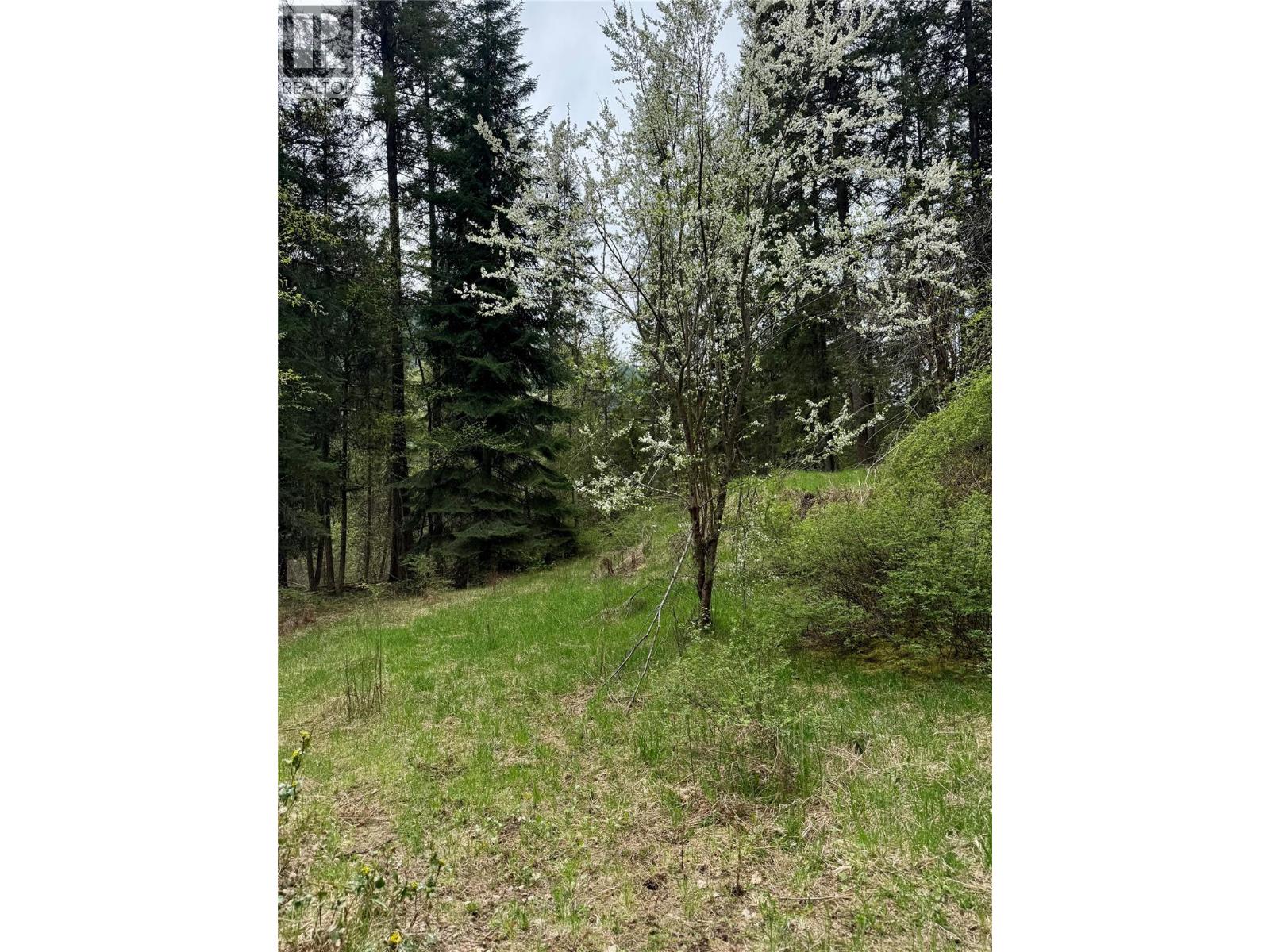 Corra Linn Road Lot# 41 & 41a, Bonnington, British Columbia  V0G 2G3 - Photo 33 - 10384149