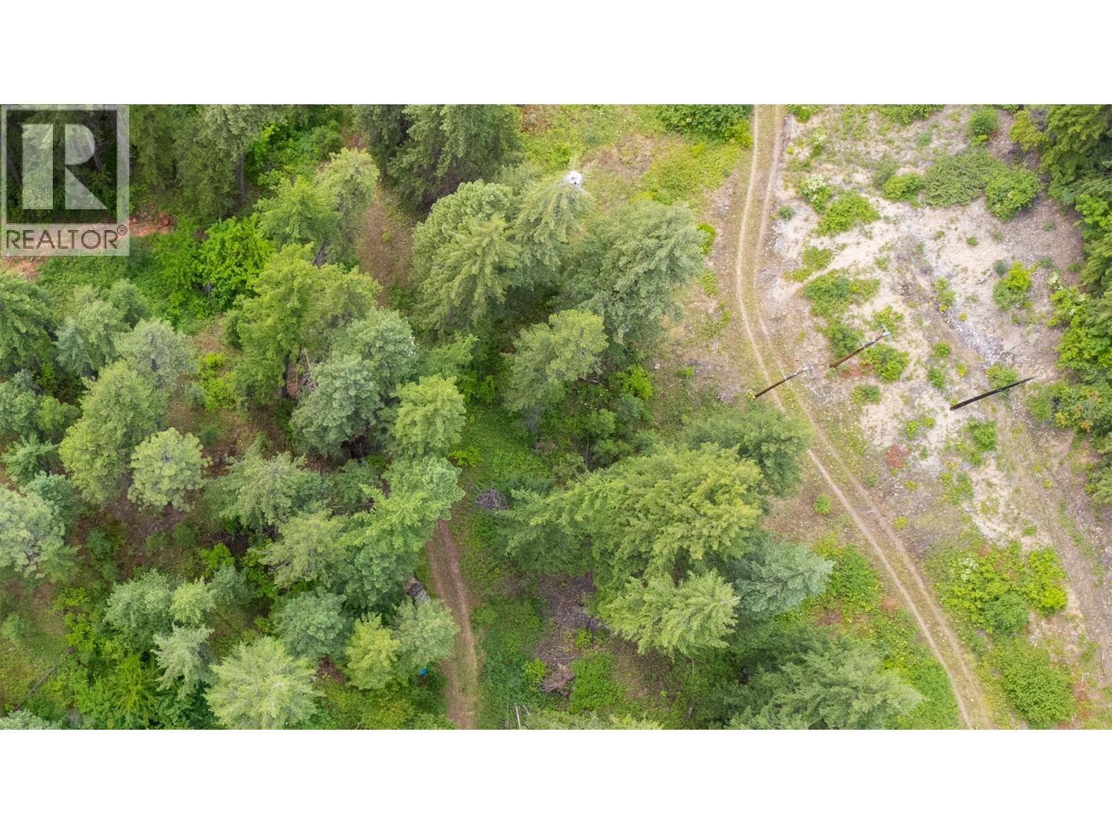 Corra Linn Road Lot# 41 & 41a, Bonnington, British Columbia  V0G 2G3 - Photo 5 - 10384149