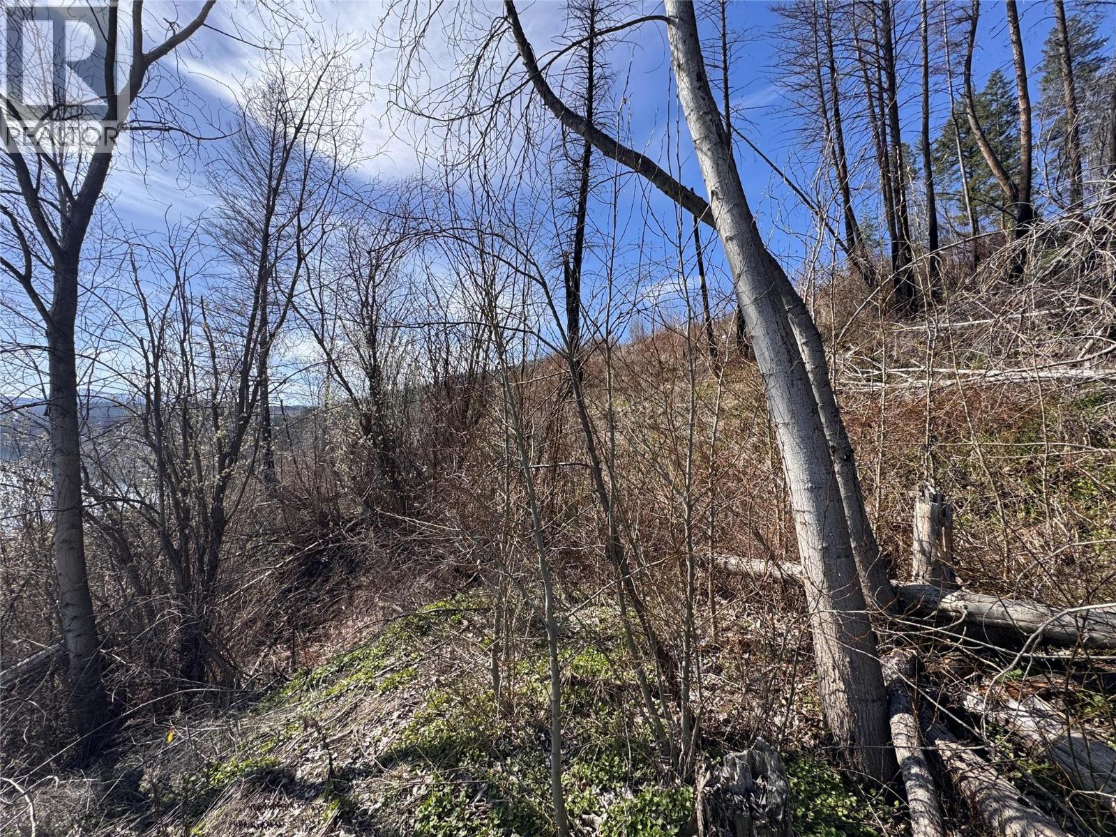 Lot 25 Hodges Road, Vernon, British Columbia  V1H 2G4 - Photo 11 - 10384079