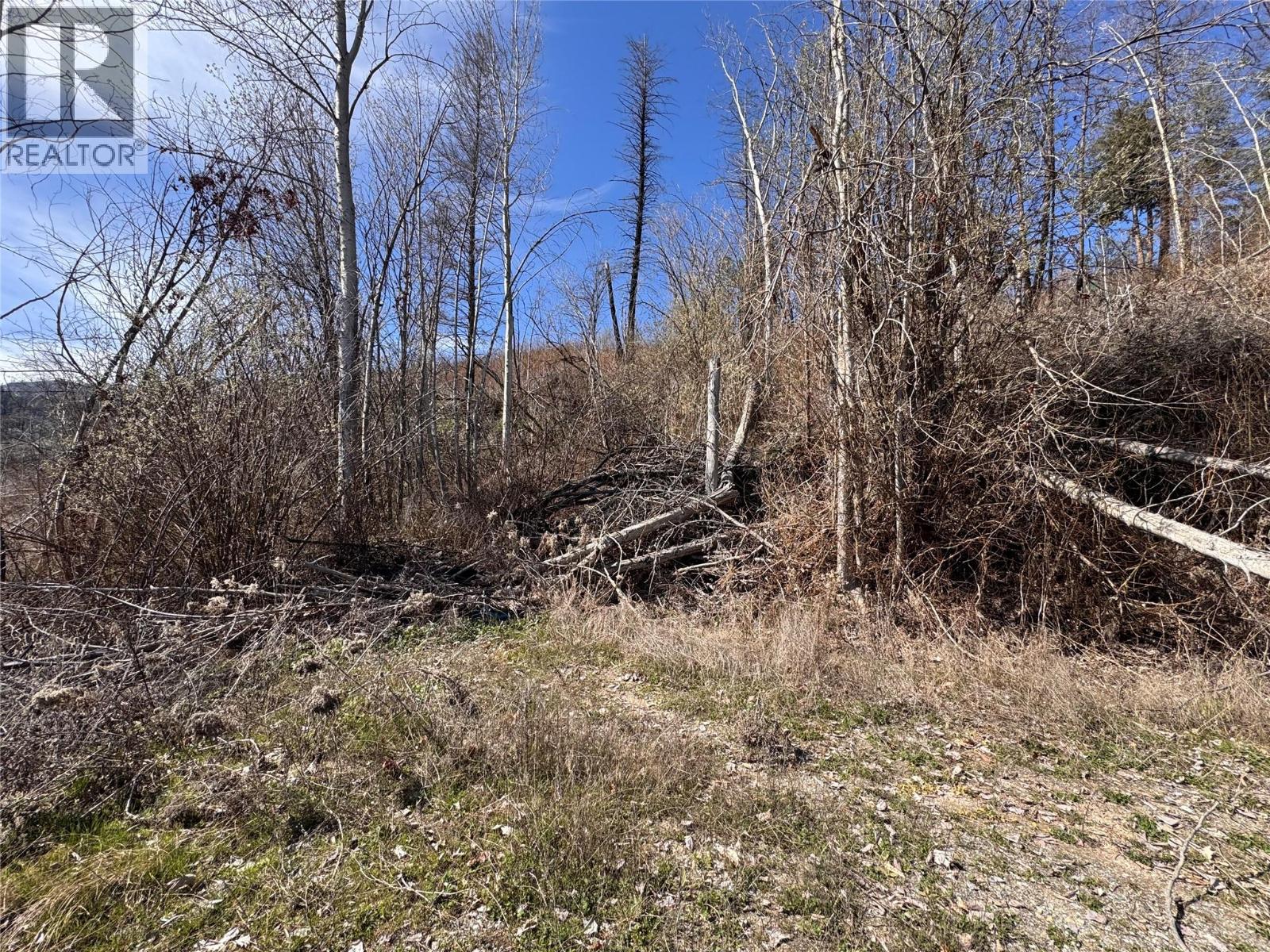 Lot 25 Hodges Road, Vernon, British Columbia  V1H 2G4 - Photo 5 - 10384079