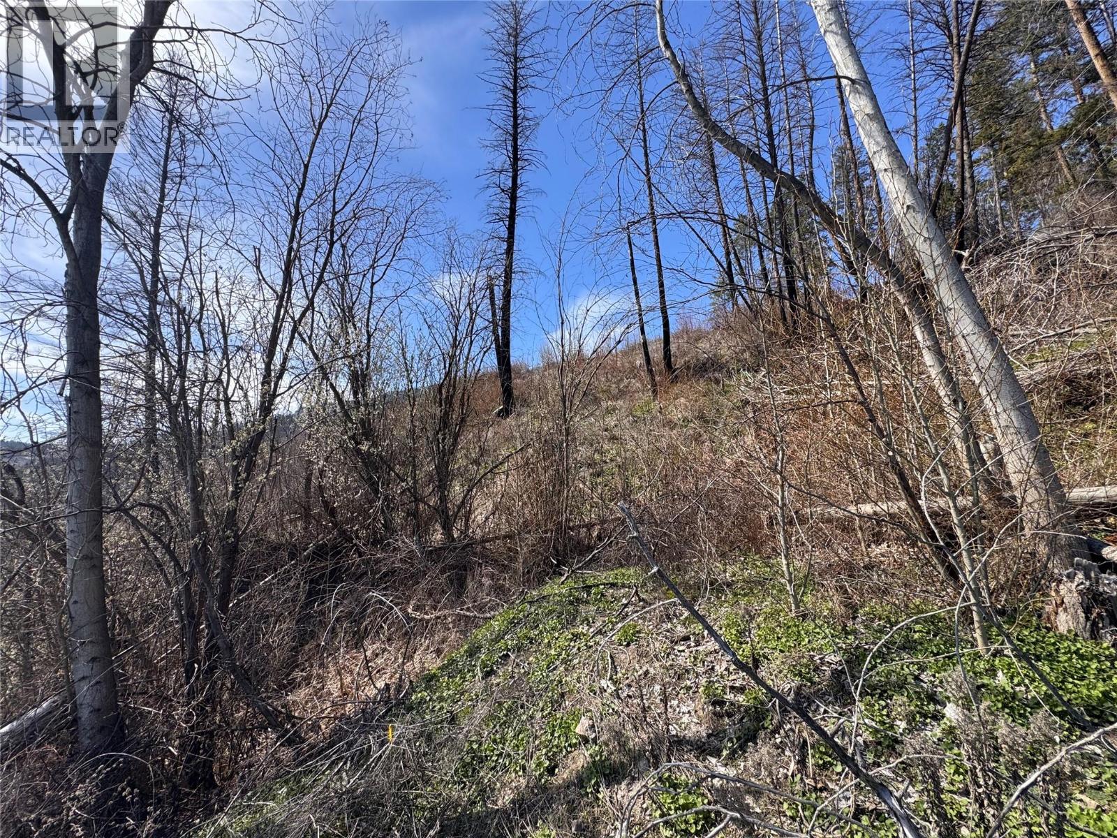 Lot 25 Hodges Road, Vernon, British Columbia  V1H 2G4 - Photo 6 - 10384079