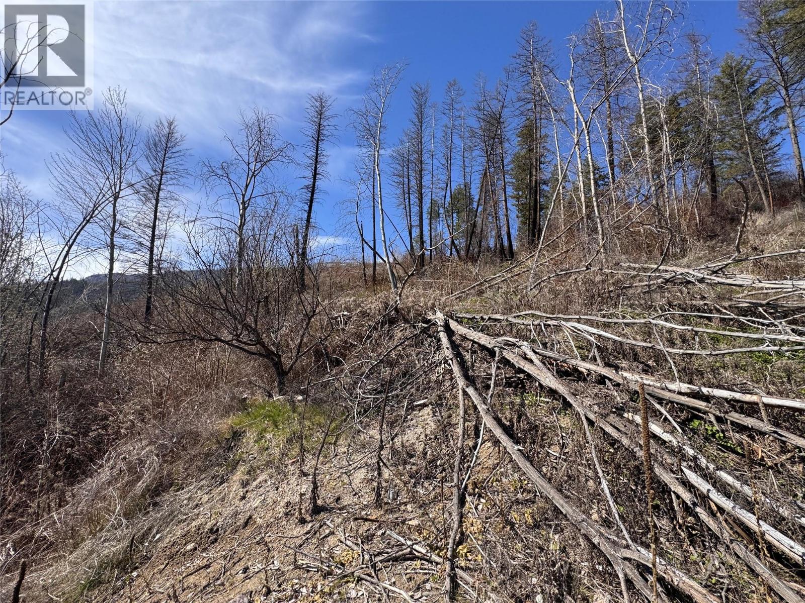 Lot 25 Hodges Road, Vernon, British Columbia  V1H 2G4 - Photo 7 - 10384079
