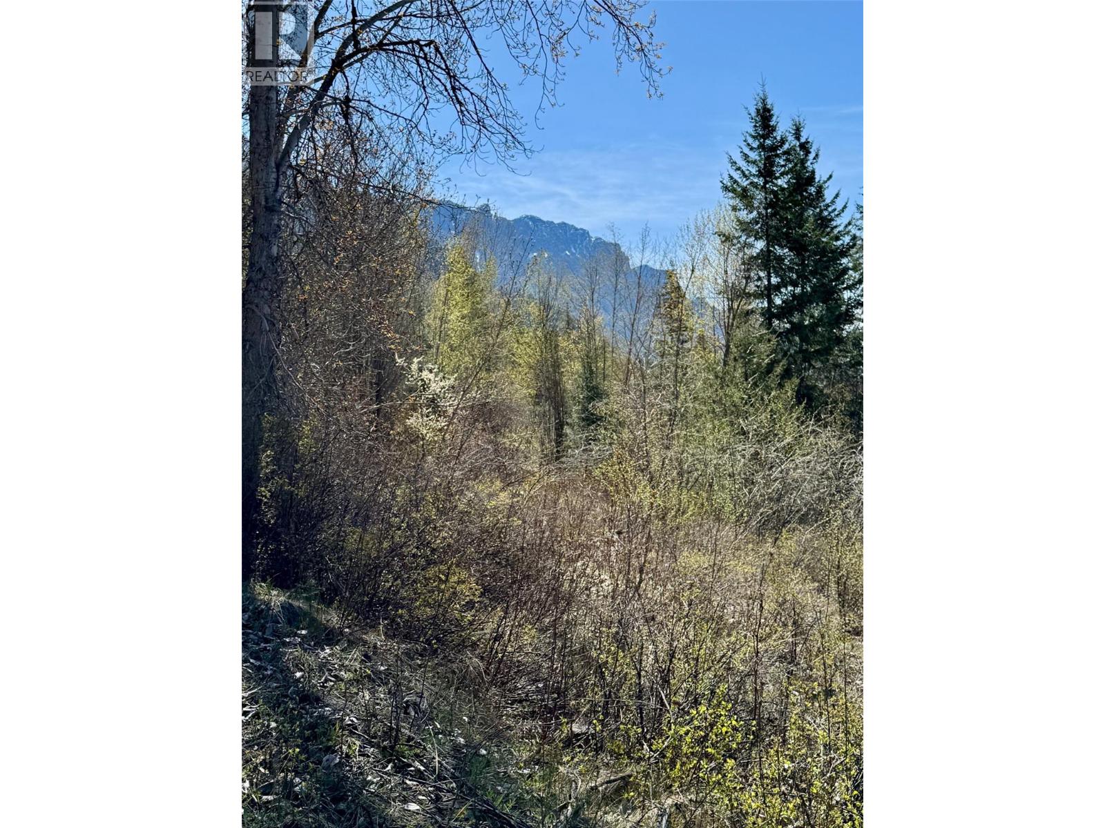 Lot 95 Mehrer Road, Creston, British Columbia  V0B 1C0 - Photo 5 - 10384166