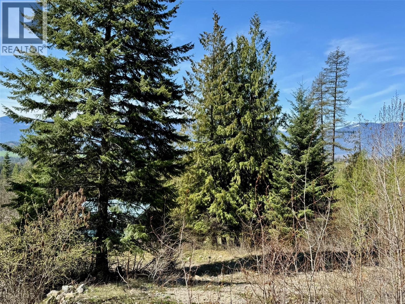 Lot 95 Mehrer Road, Creston, British Columbia  V0B 1C0 - Photo 6 - 10384166