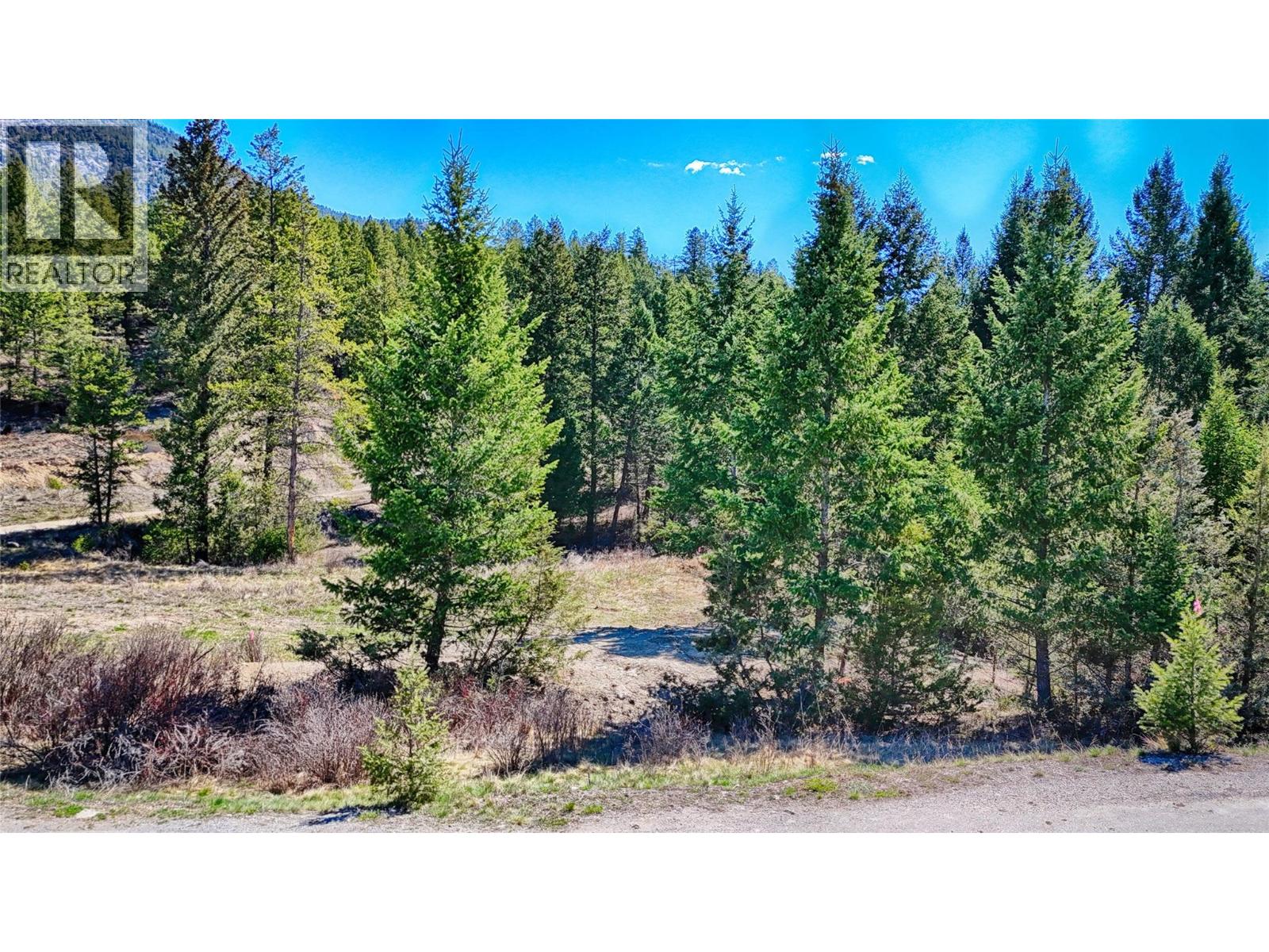 Lot 44 Cooper Road, Windermere, British Columbia  V0B 2L0 - Photo 4 - 10384168