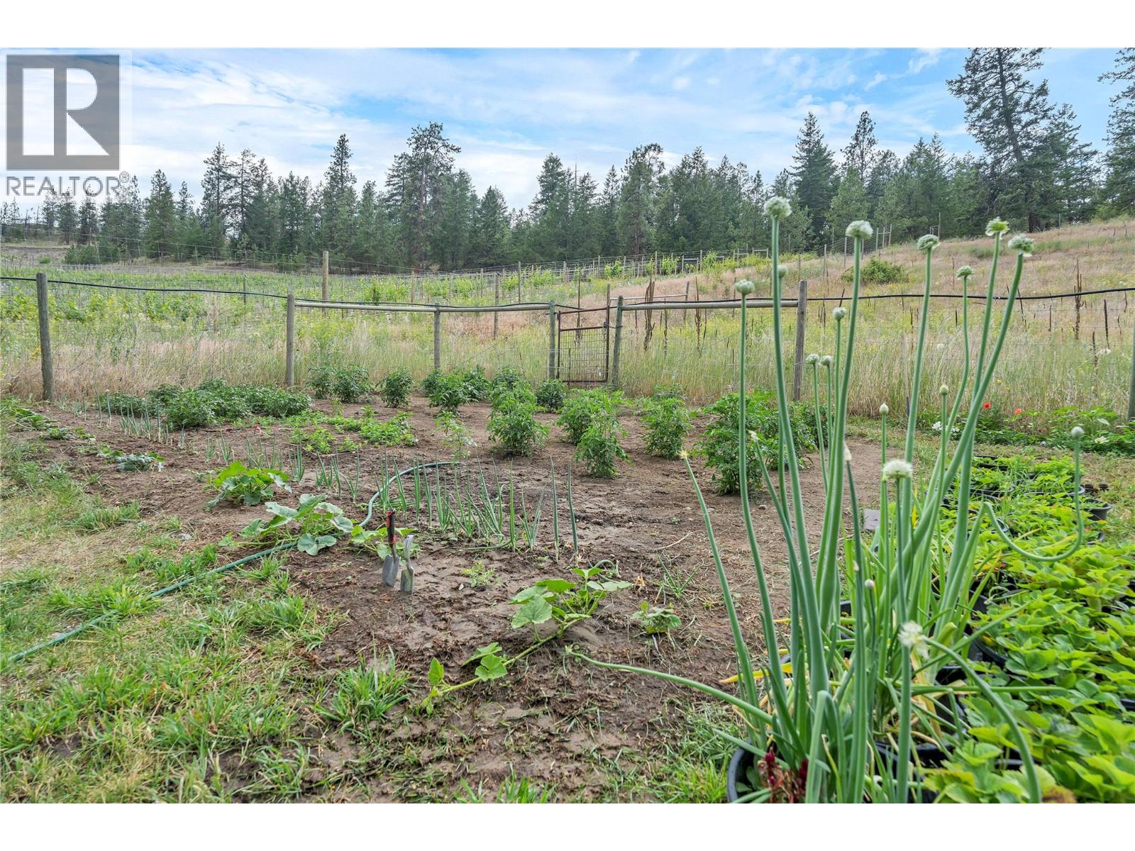 16109 Dale Meadows Road, Summerland, British Columbia  V0H 1Z8 - Photo 18 - 10384005