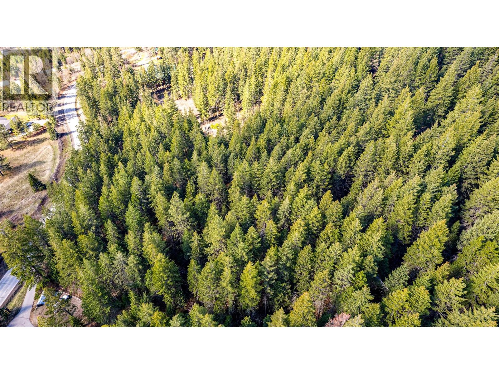 8031 Silver Star Road Road, Vernon, British Columbia  V1B 3N1 - Photo 10 - 10384298