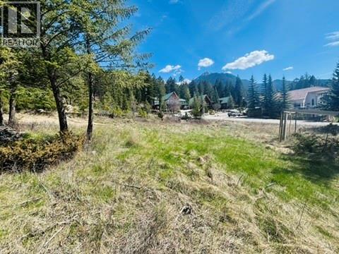 Lot 30 Mountain Top Drive, Fairmont Hot Springs, British Columbia  V0B 1L1 - Photo 4 - 10384401