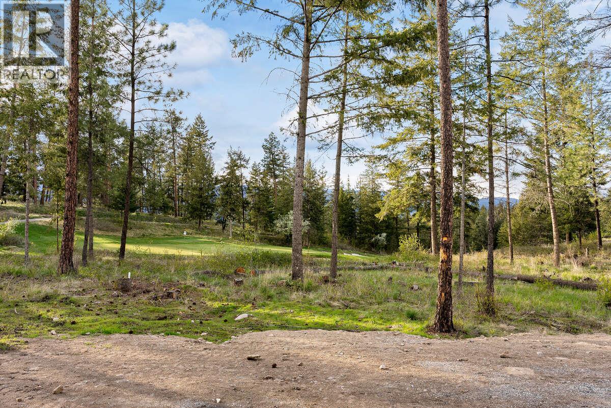 822 Predator Ridge Drive, Vernon, British Columbia  V1H 1G4 - Photo 30 - 10384486