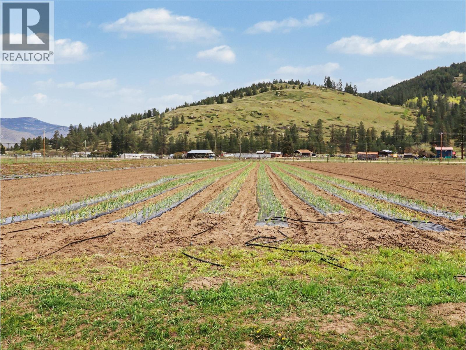 3845 Carson Road, Grand Forks, British Columbia  V0H 1H4 - Photo 46 - 10384493