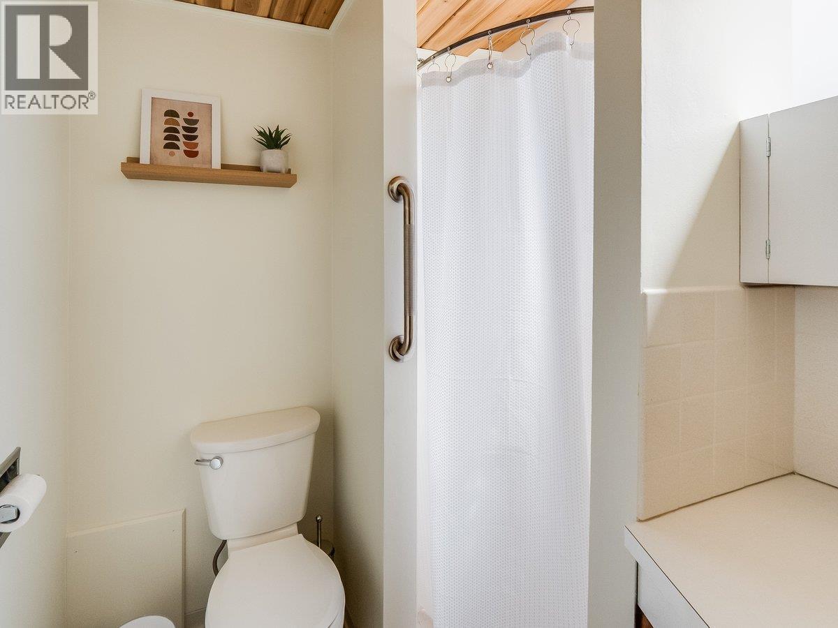 3557 Highway Drive, Trail, British Columbia  V1R 2T9 - Photo 33 - 10384413