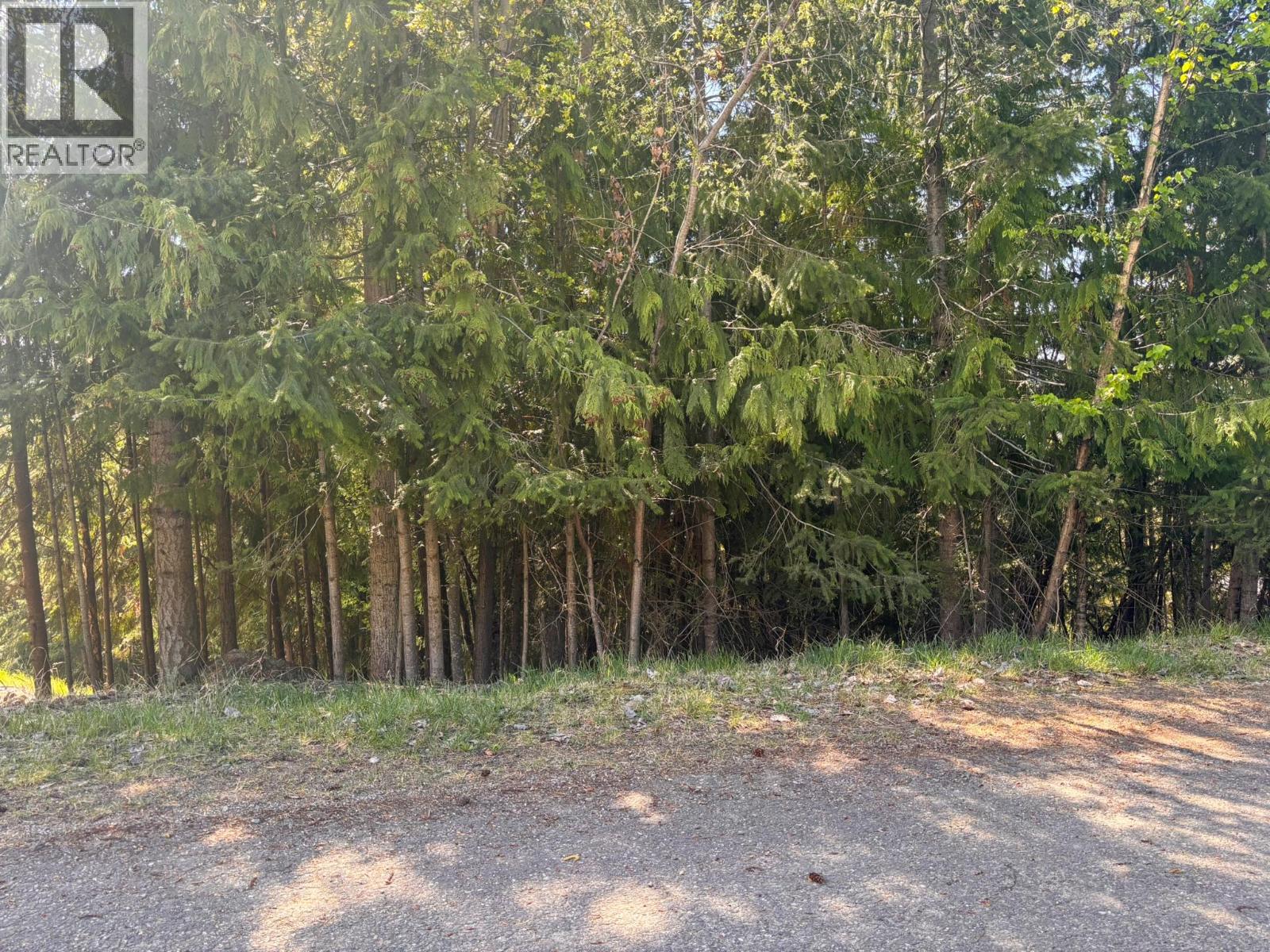 Lot 8 Stampede Trail, Anglemont, British Columbia  V0E 1M8 - Photo 1 - 10384519